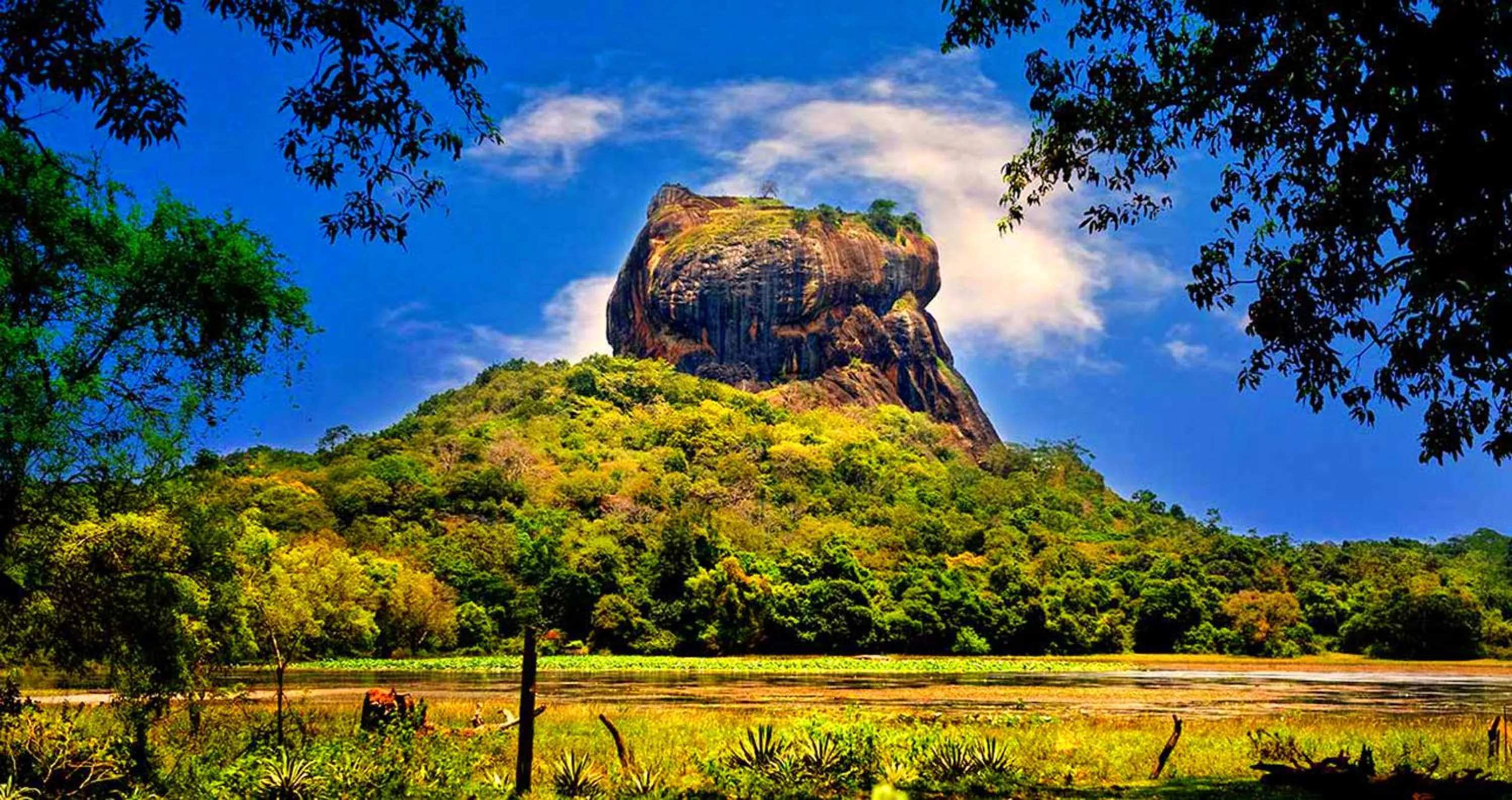 Natural landscape in Fresco Water Villa