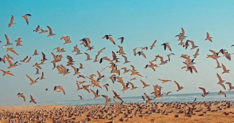Les Hébergements Nature et Bien-être