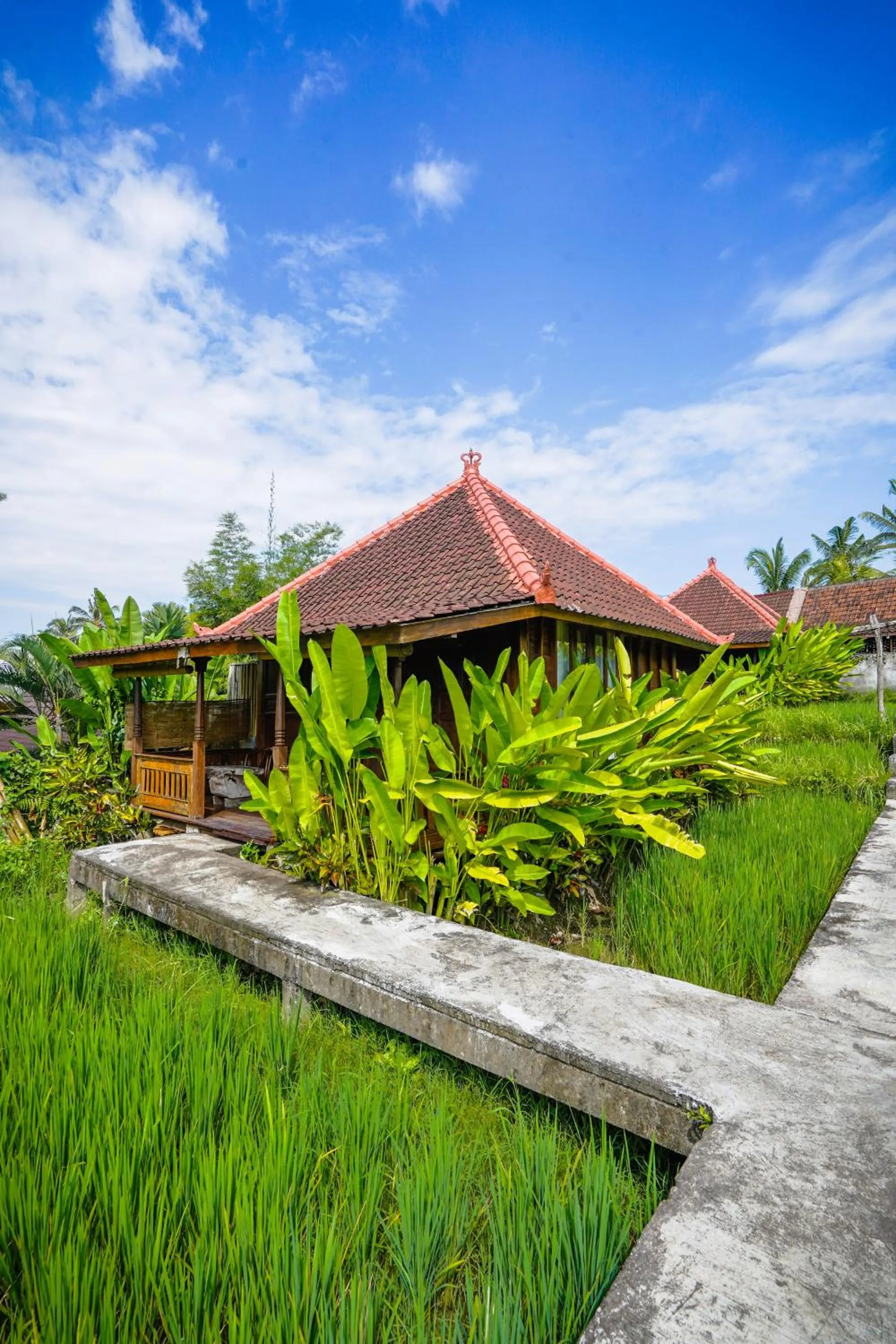 Day in Ubud Sawah Scenery Villa and Homestay