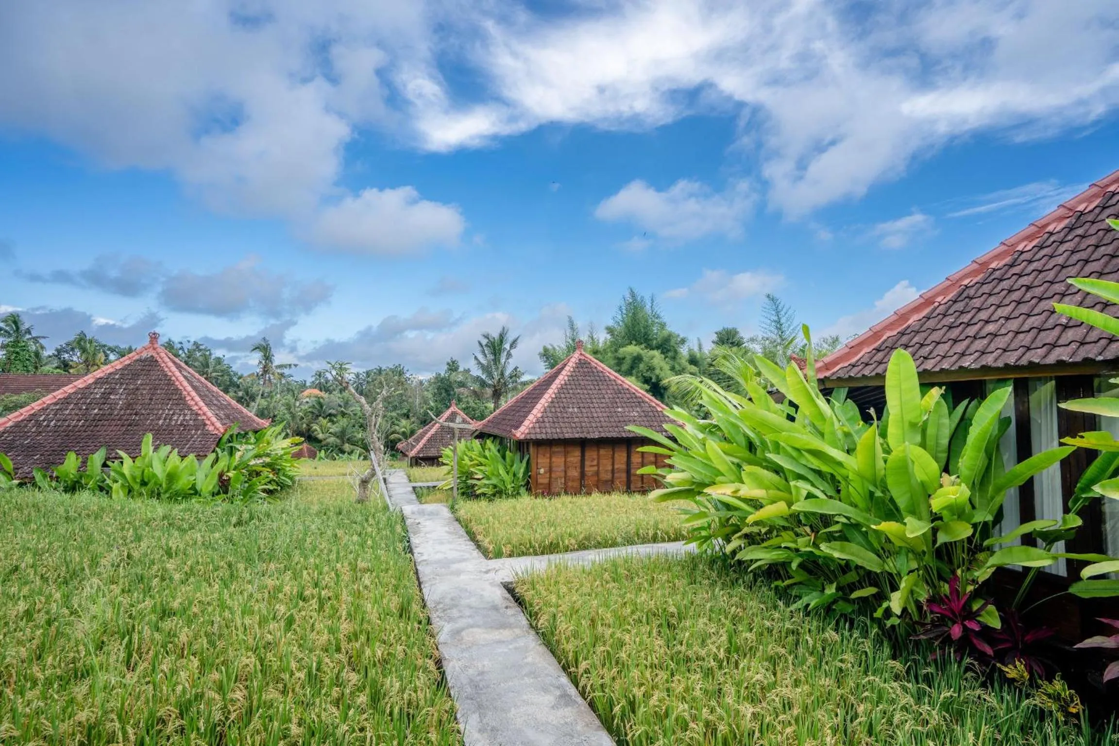 Ubud Sawah Scenery Villa and Homestay