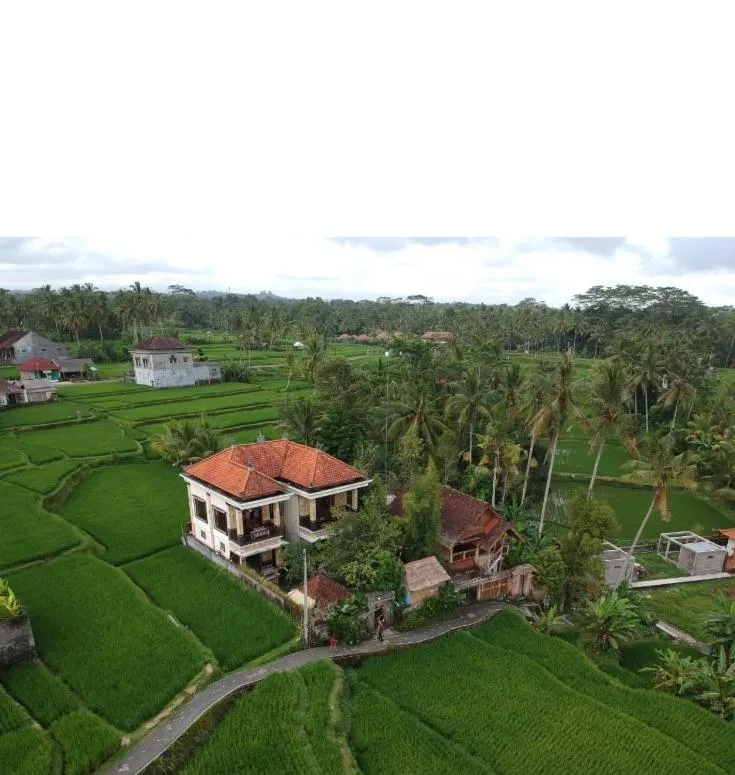Bird's eye view in Ubud Sawah Scenery Villa and Homestay