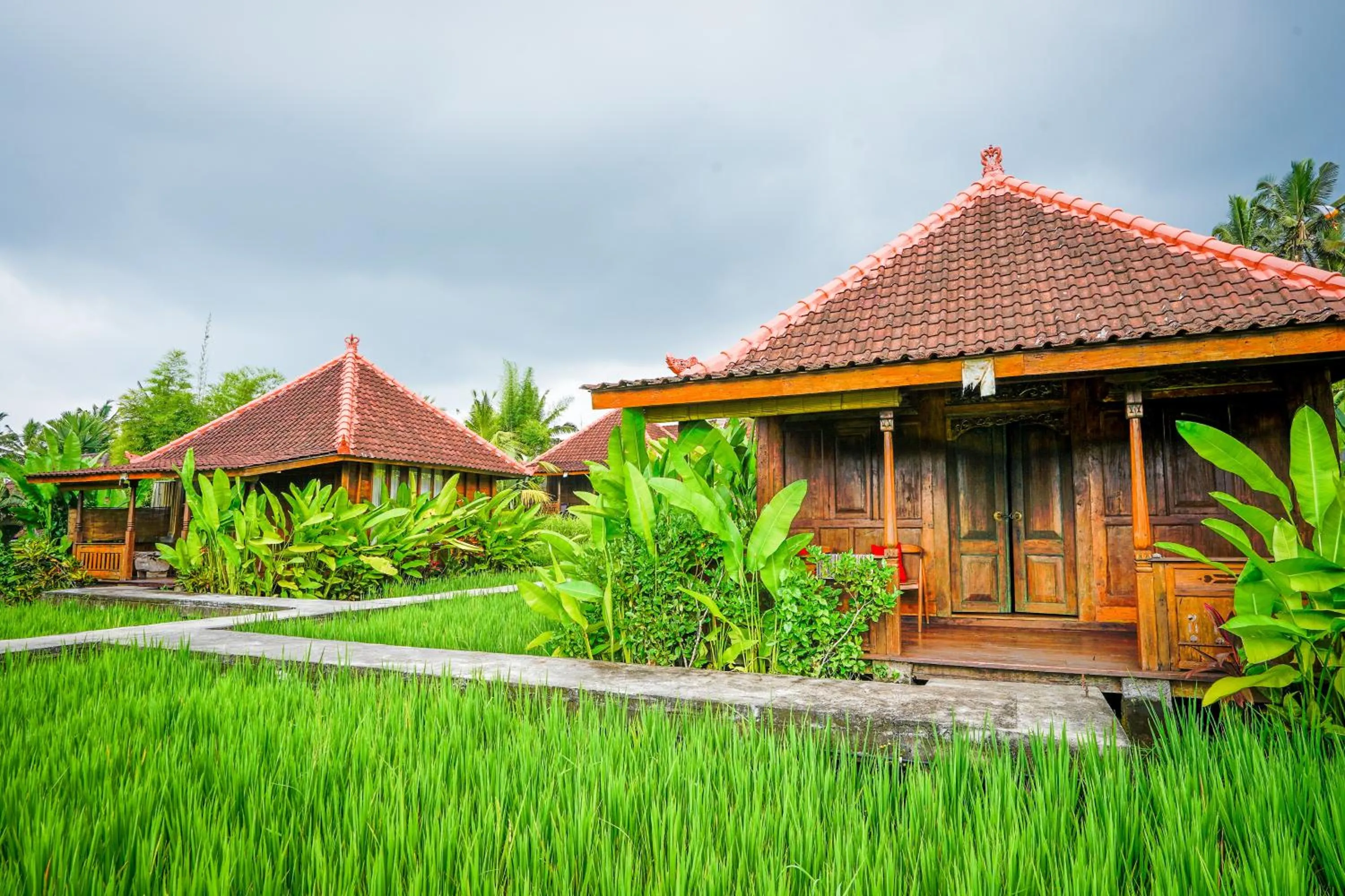 Property building in Ubud Sawah Scenery Villa and Homestay