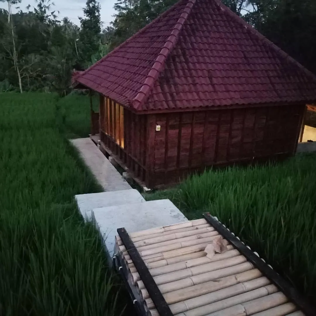 Natural landscape in Ubud Sawah Scenery Villa and Homestay