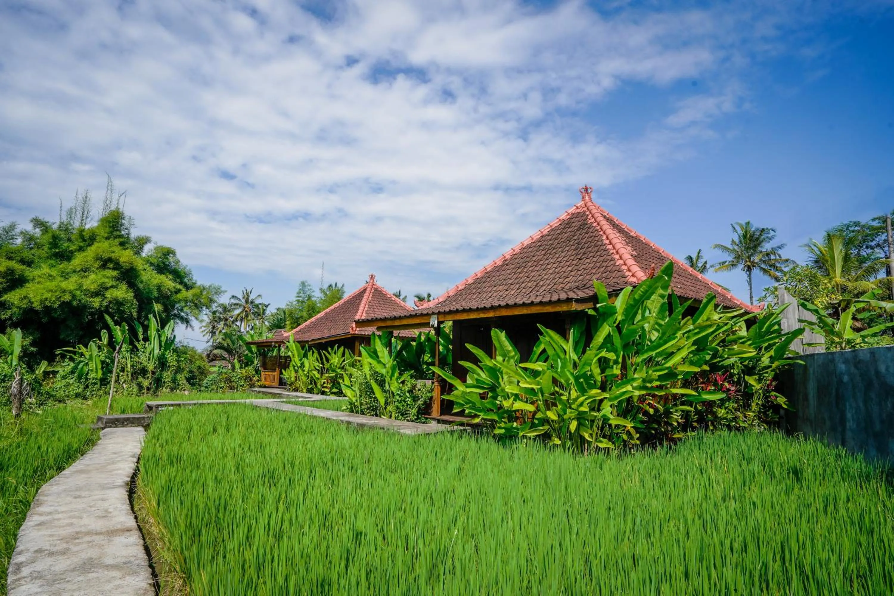 Day in Ubud Sawah Scenery Villa and Homestay