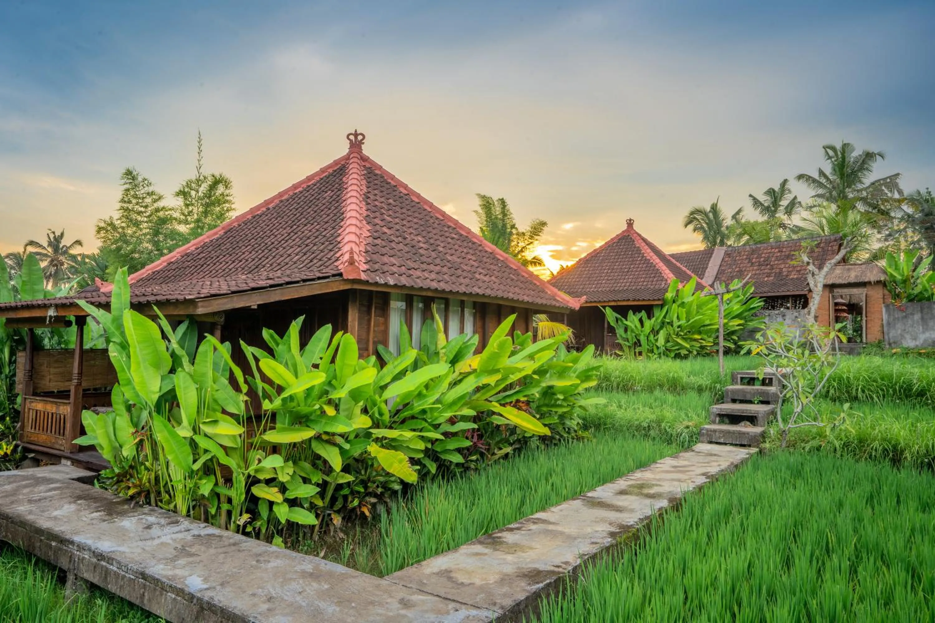 Natural landscape in Ubud Sawah Scenery Villa and Homestay