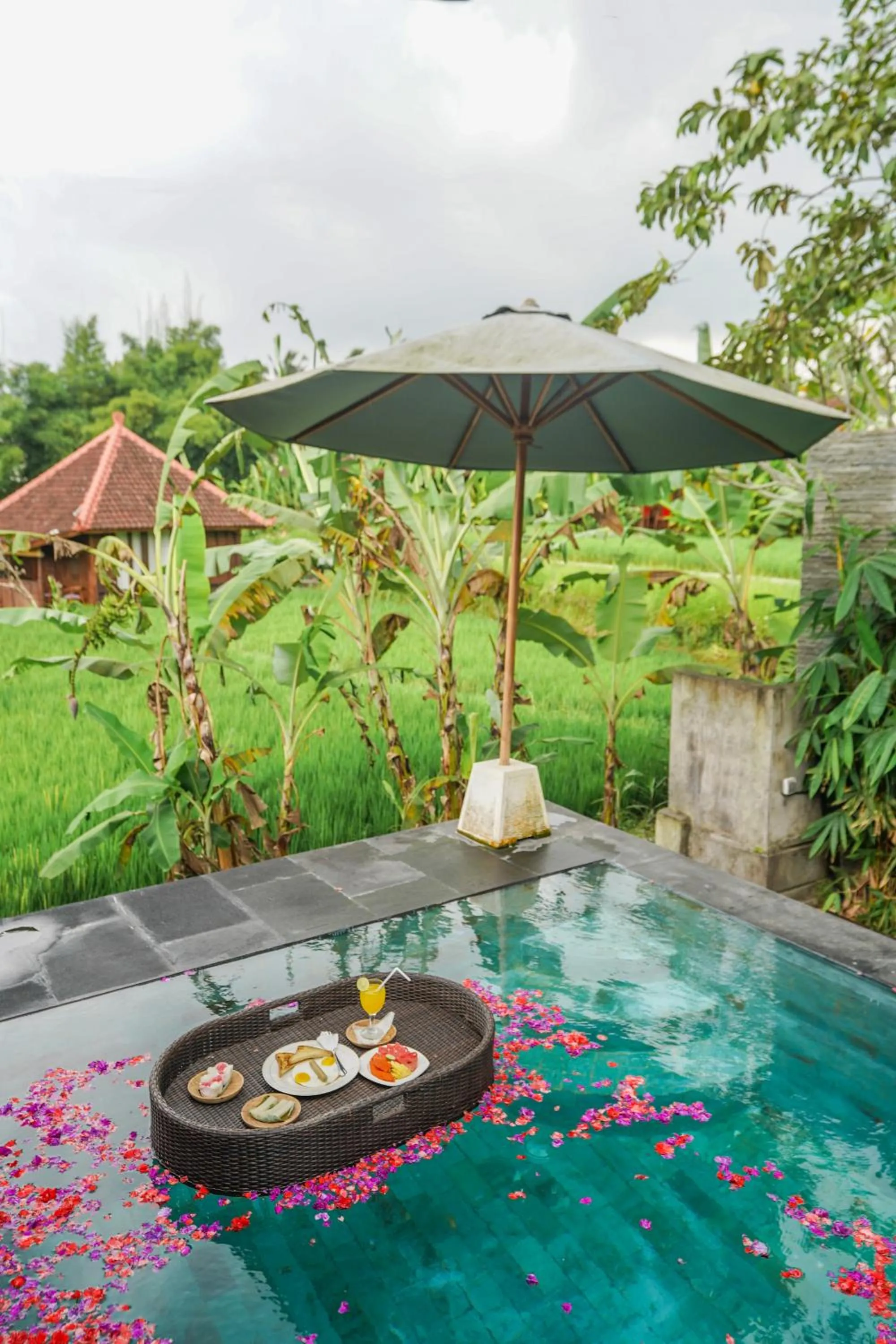 Swimming pool in Ubud Sawah Scenery Villa and Homestay