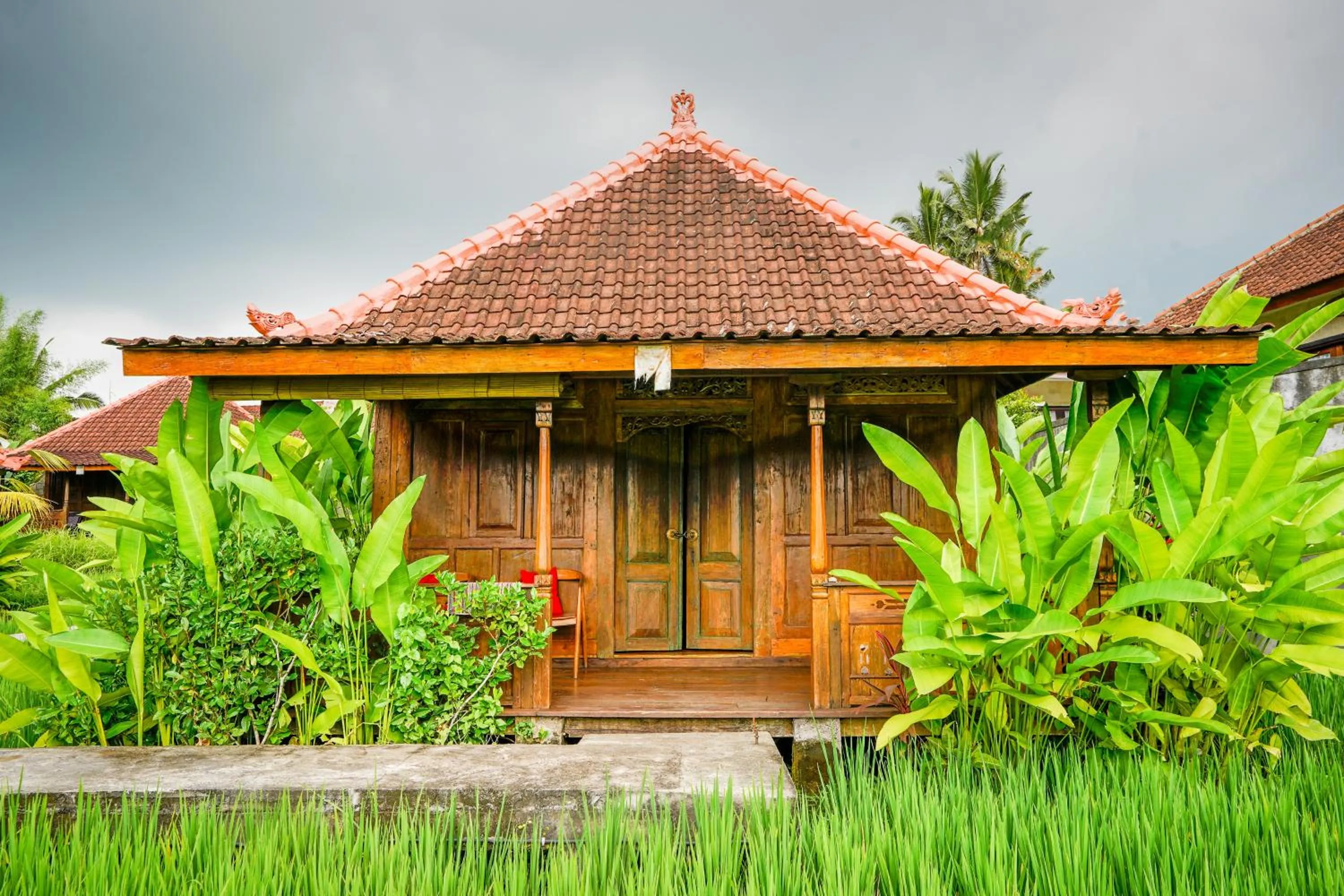 Day in Ubud Sawah Scenery Villa and Homestay
