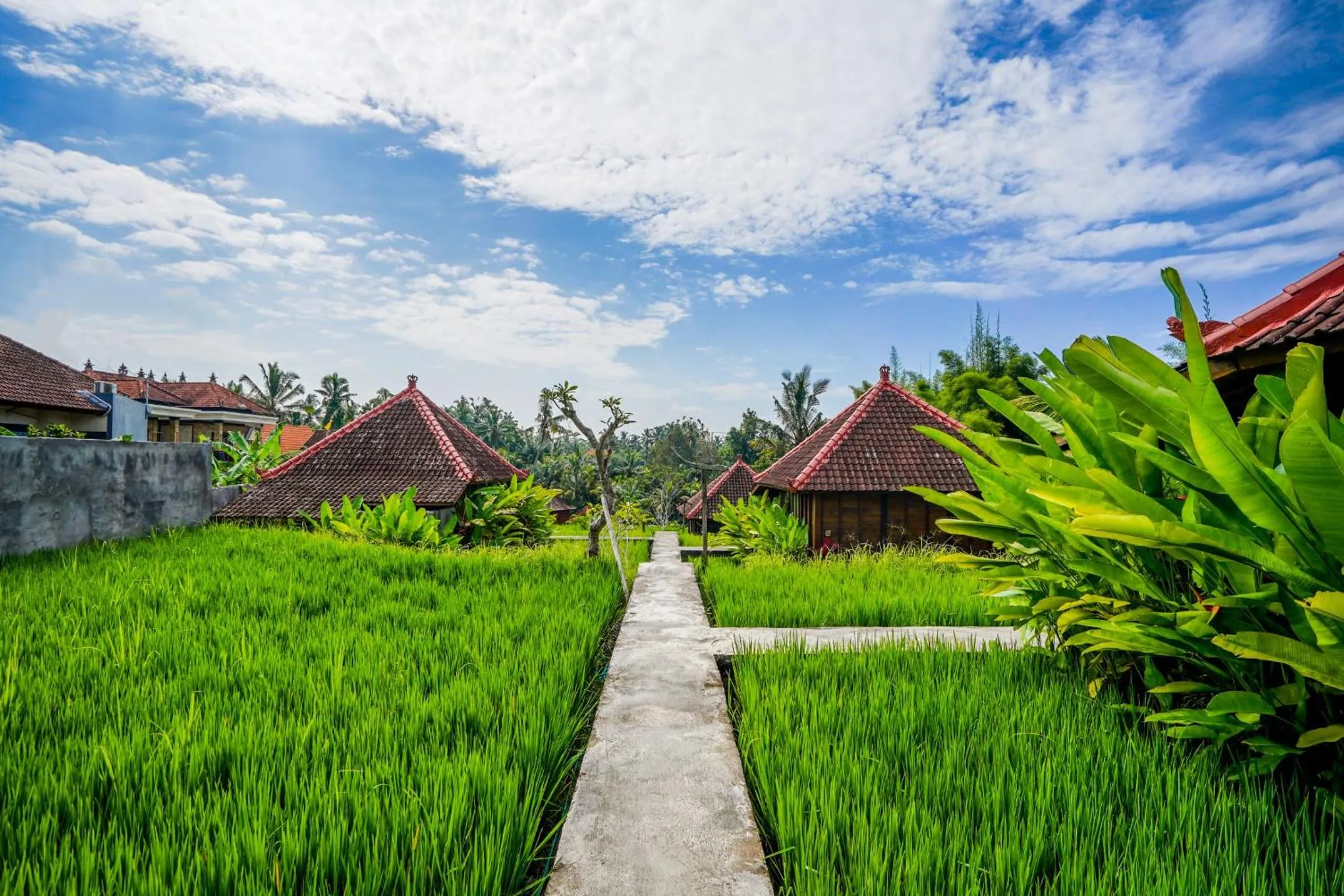 Ubud Sawah Scenery Villa and Homestay
