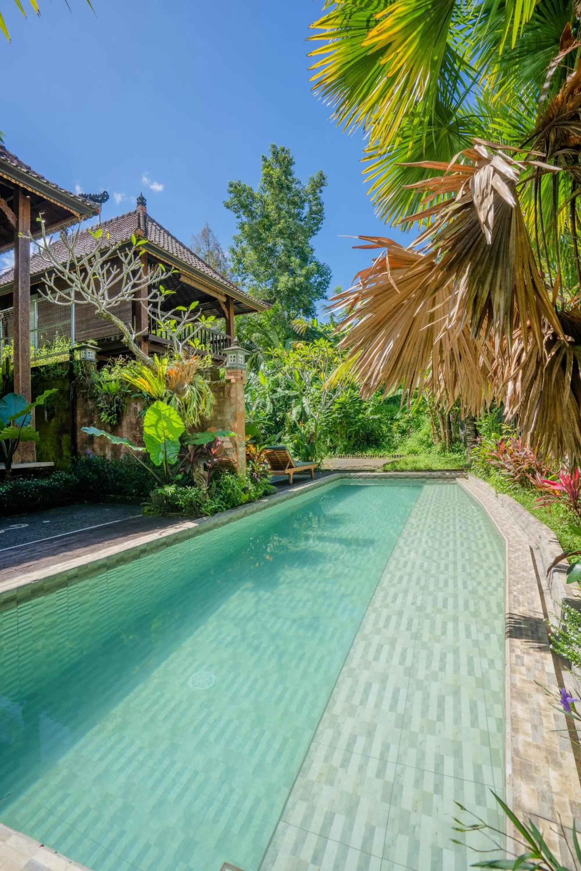 Pool view in Ubud Sawah Scenery Villa and Homestay