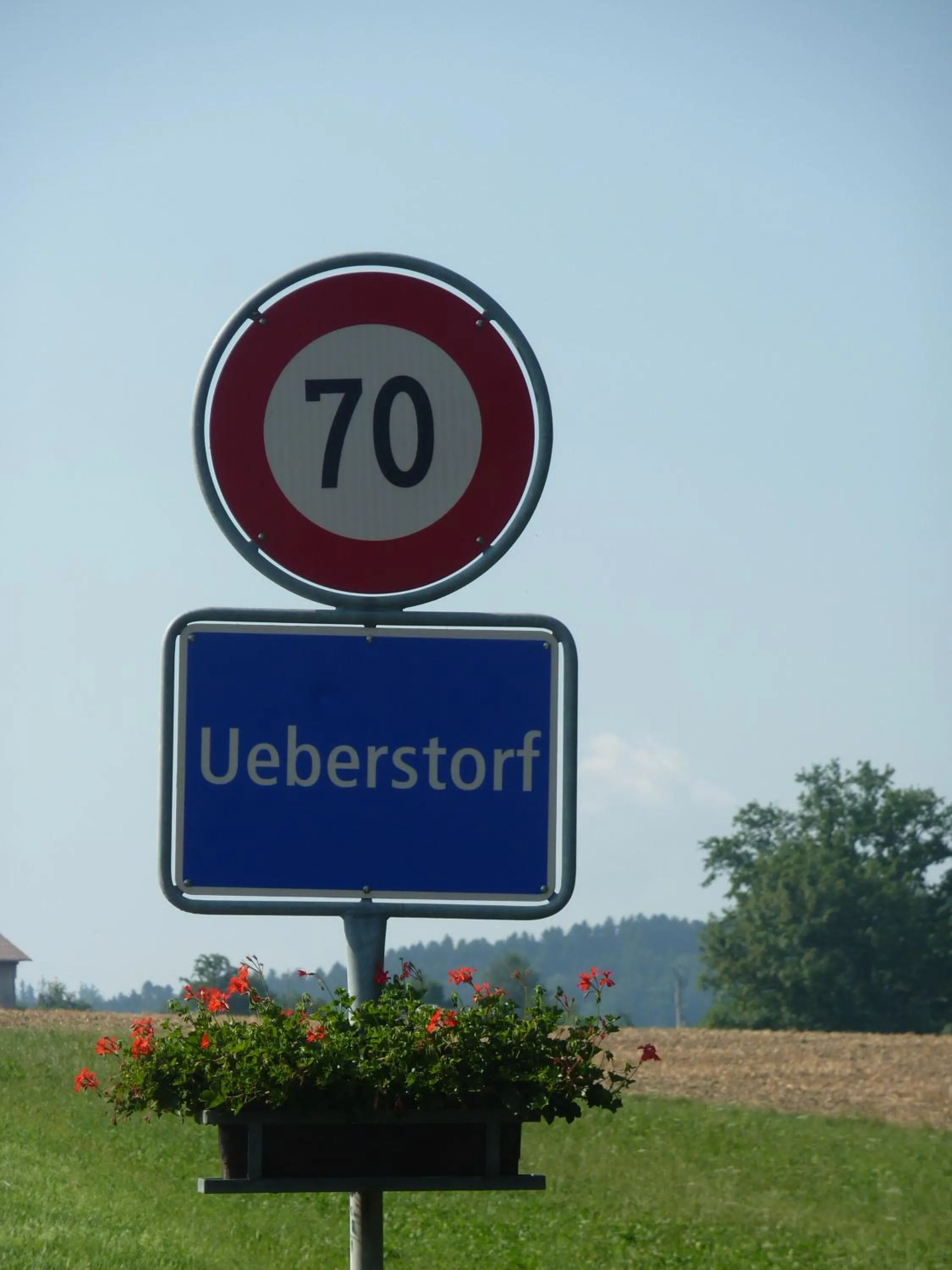 Natural landscape in Studio Elegant