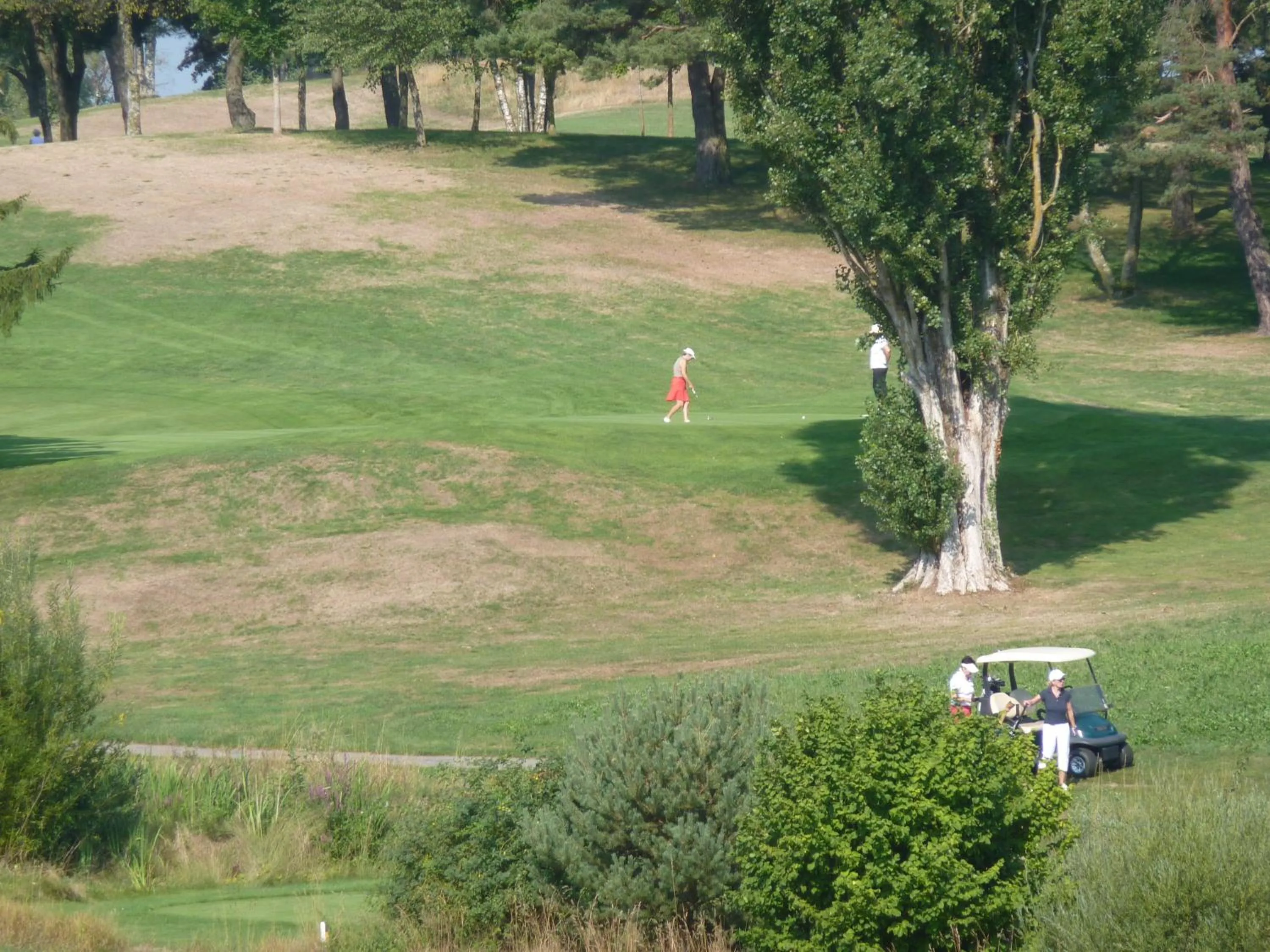 Golfcourse in Studio Elegant