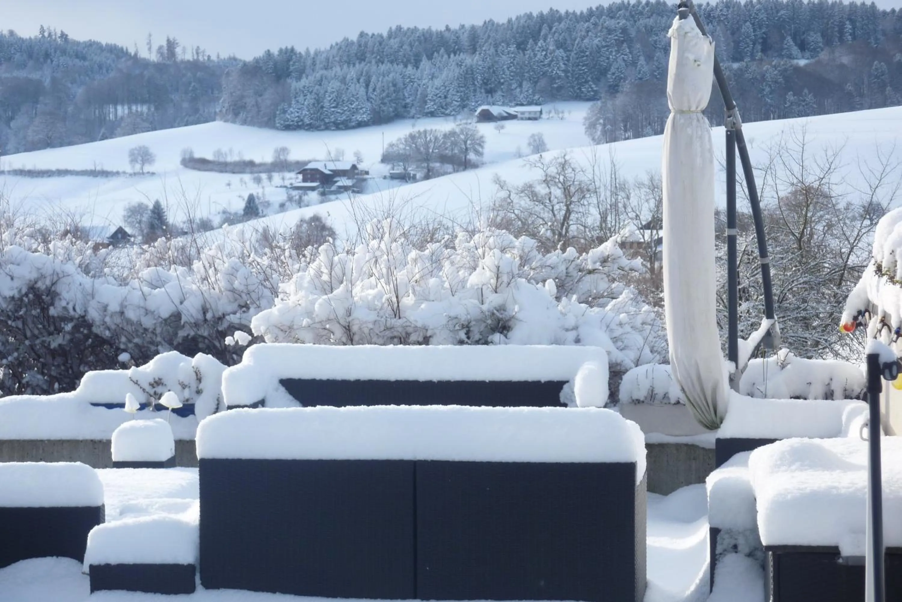 Other in Studio Elegant