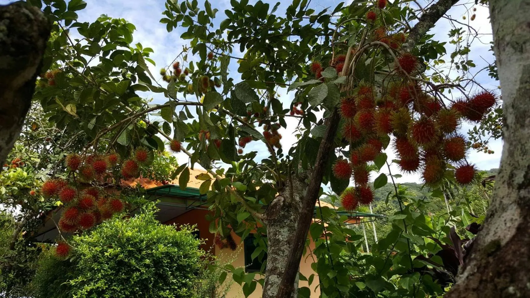 Natural landscape in At Sichon Resort
