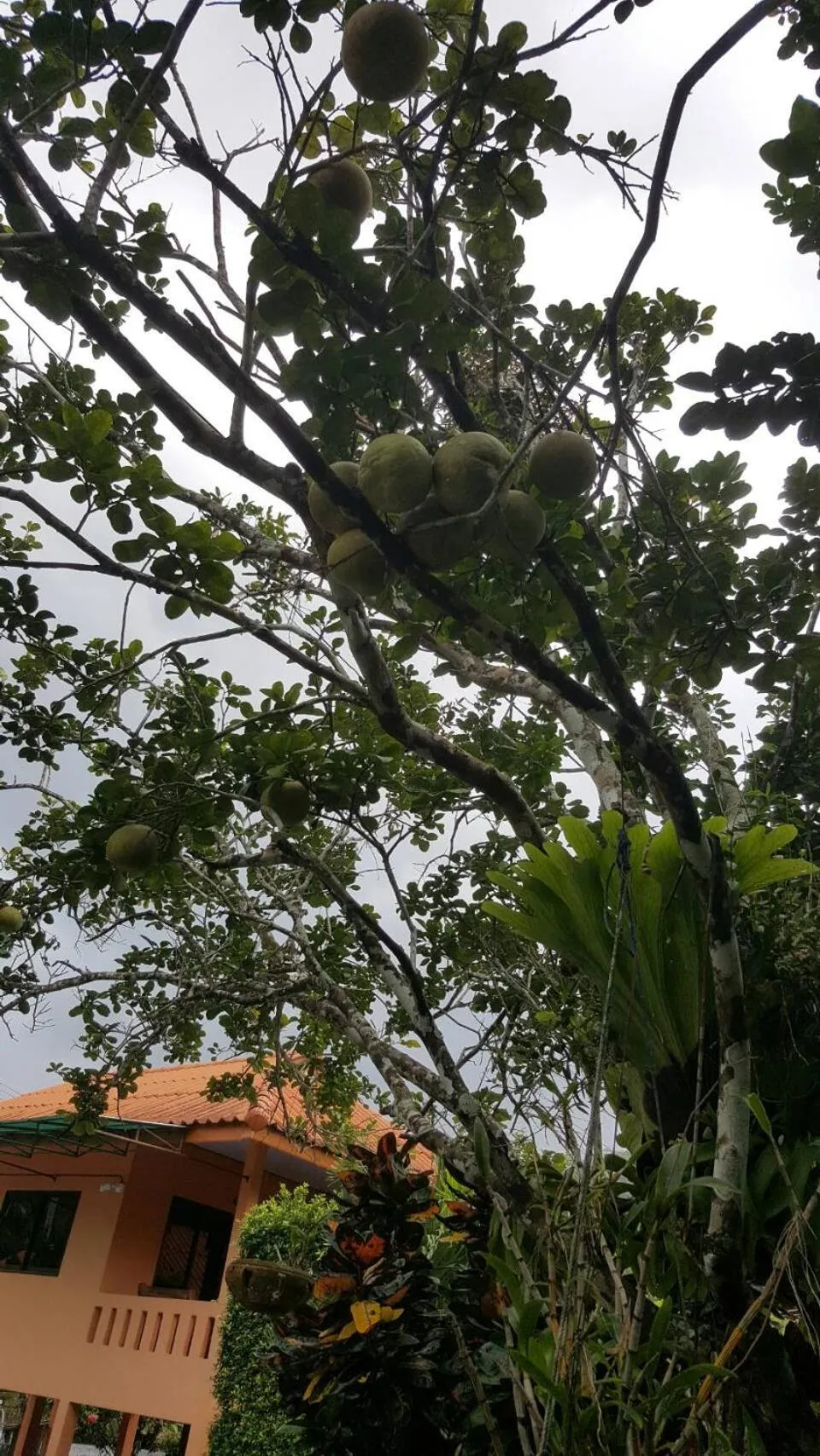 Natural landscape in At Sichon Resort