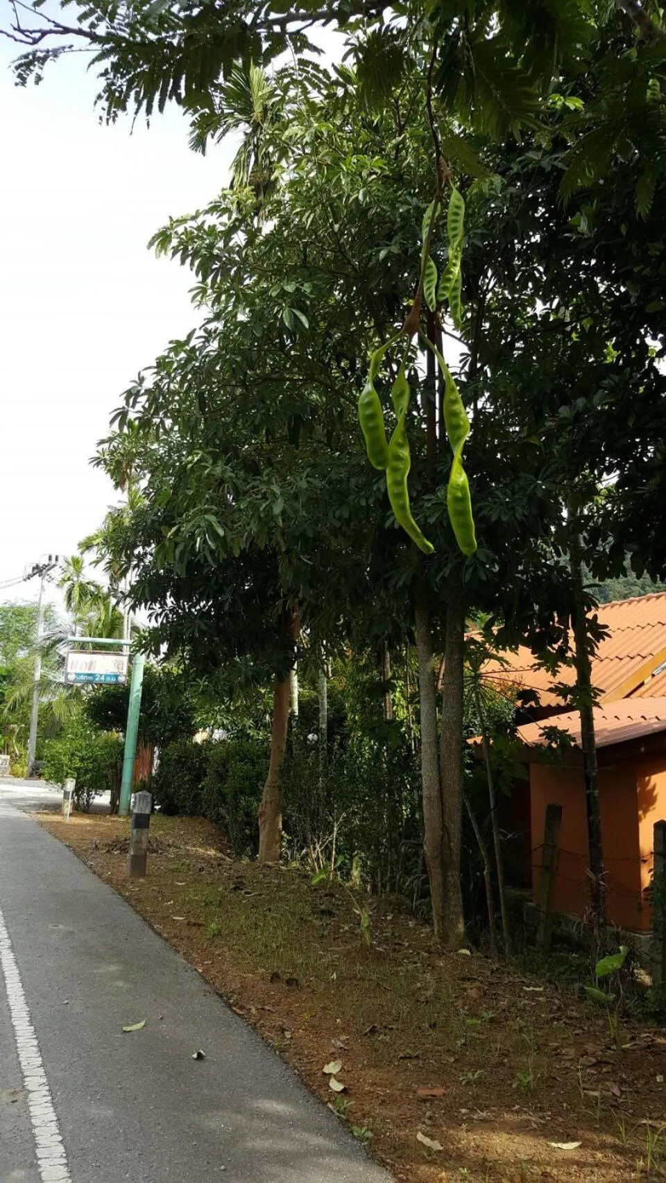 Facade/entrance in At Sichon Resort
