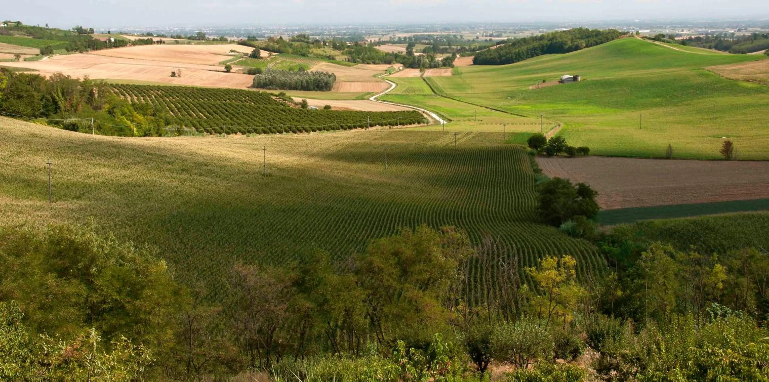 Nearby landmark in Albergo Rondò
