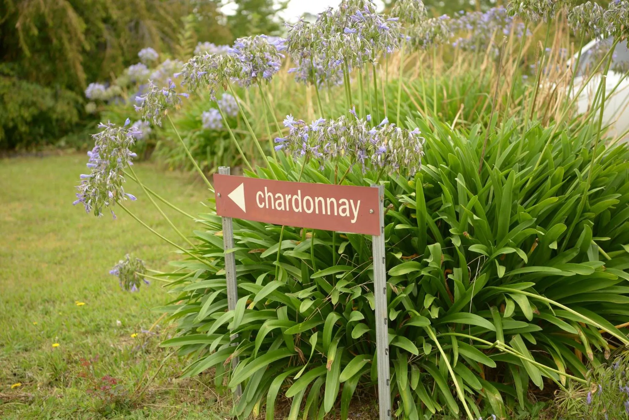 Property logo or sign in Borrodell Vineyard