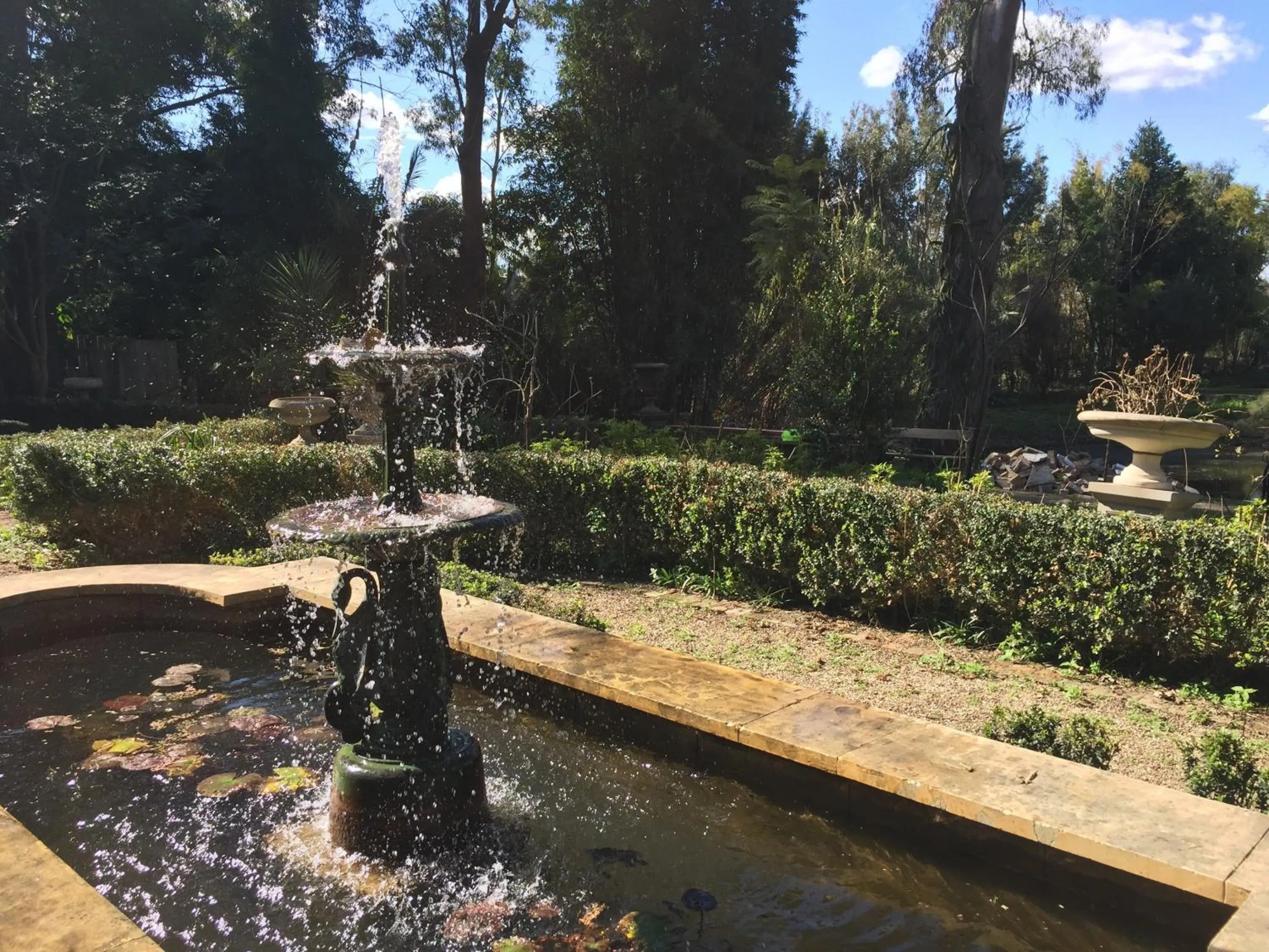 Natural landscape in The Regents Park