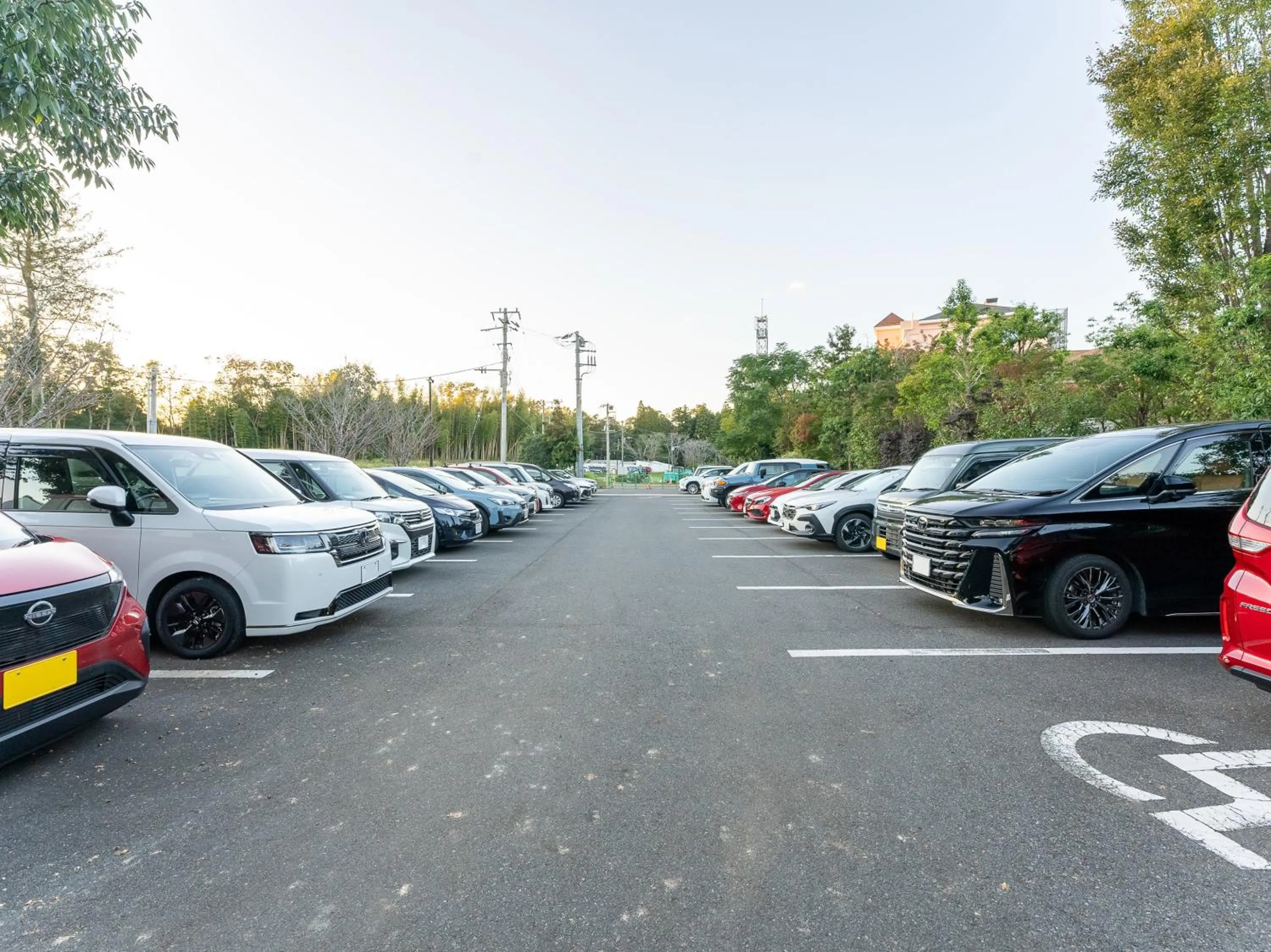 Parking in Koyaru-no-sato Doggys Island