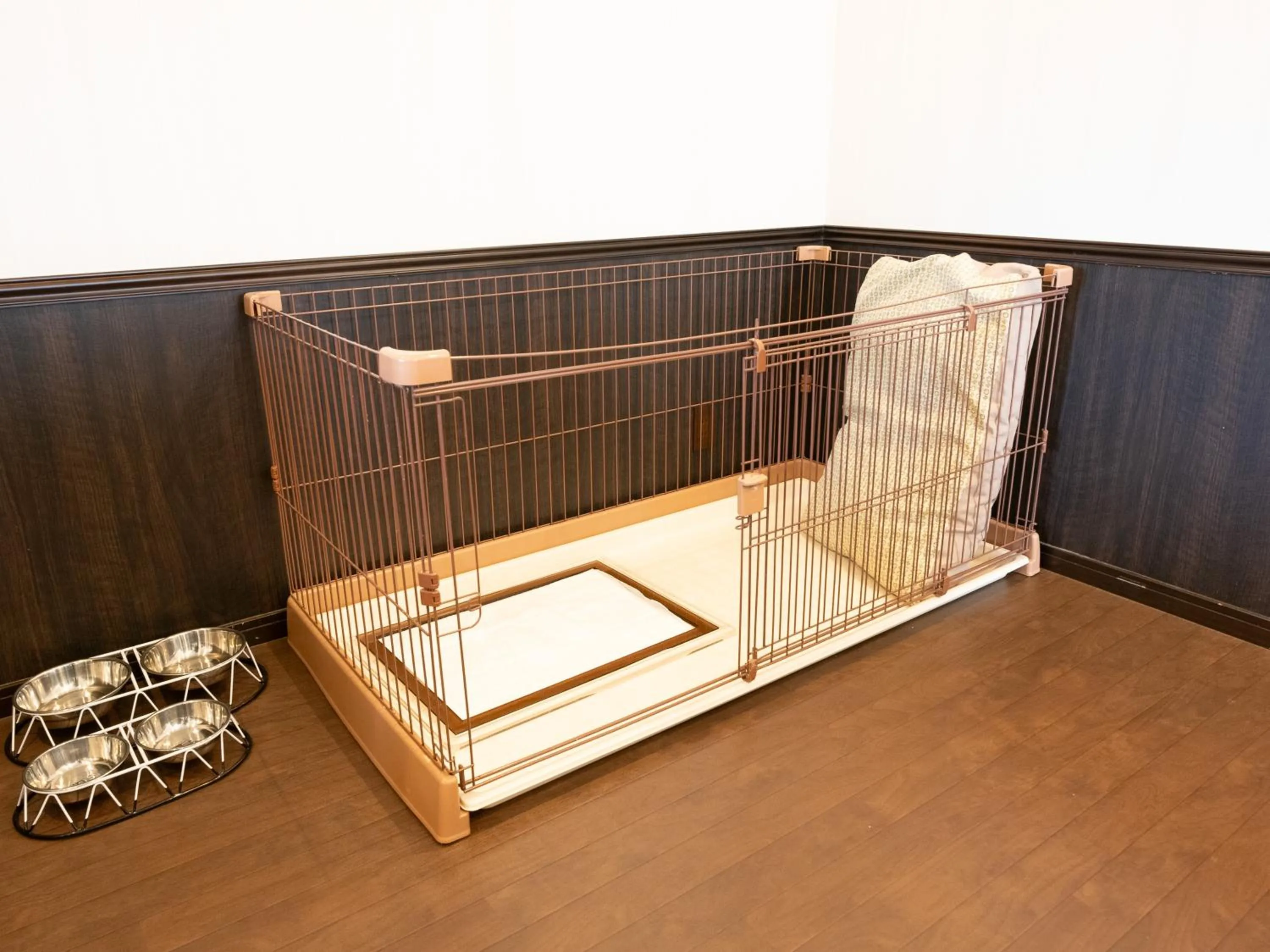 Animals in Koyaru-no-sato Doggys Island