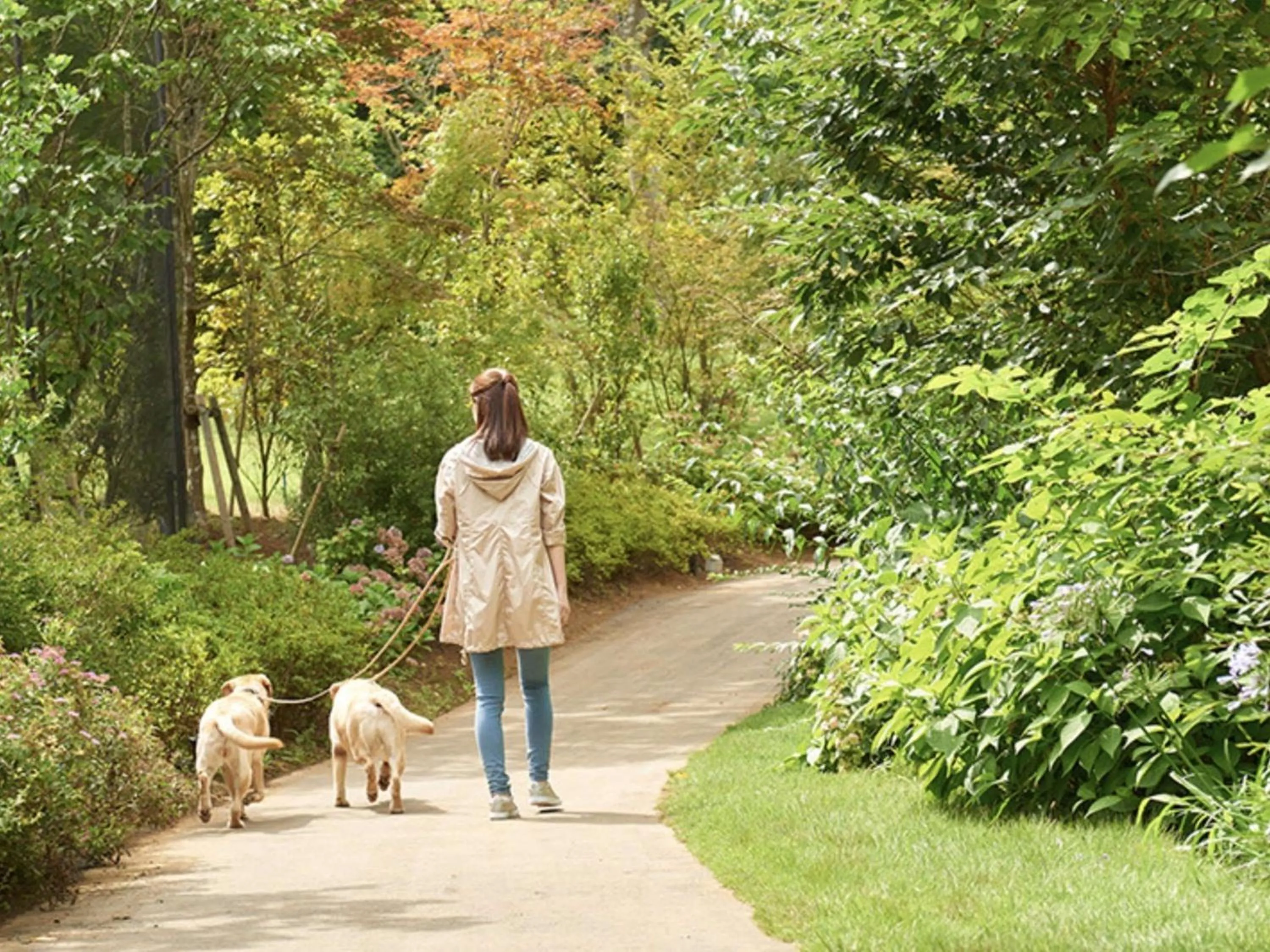 Garden in Koyaru-no-sato Doggys Island
