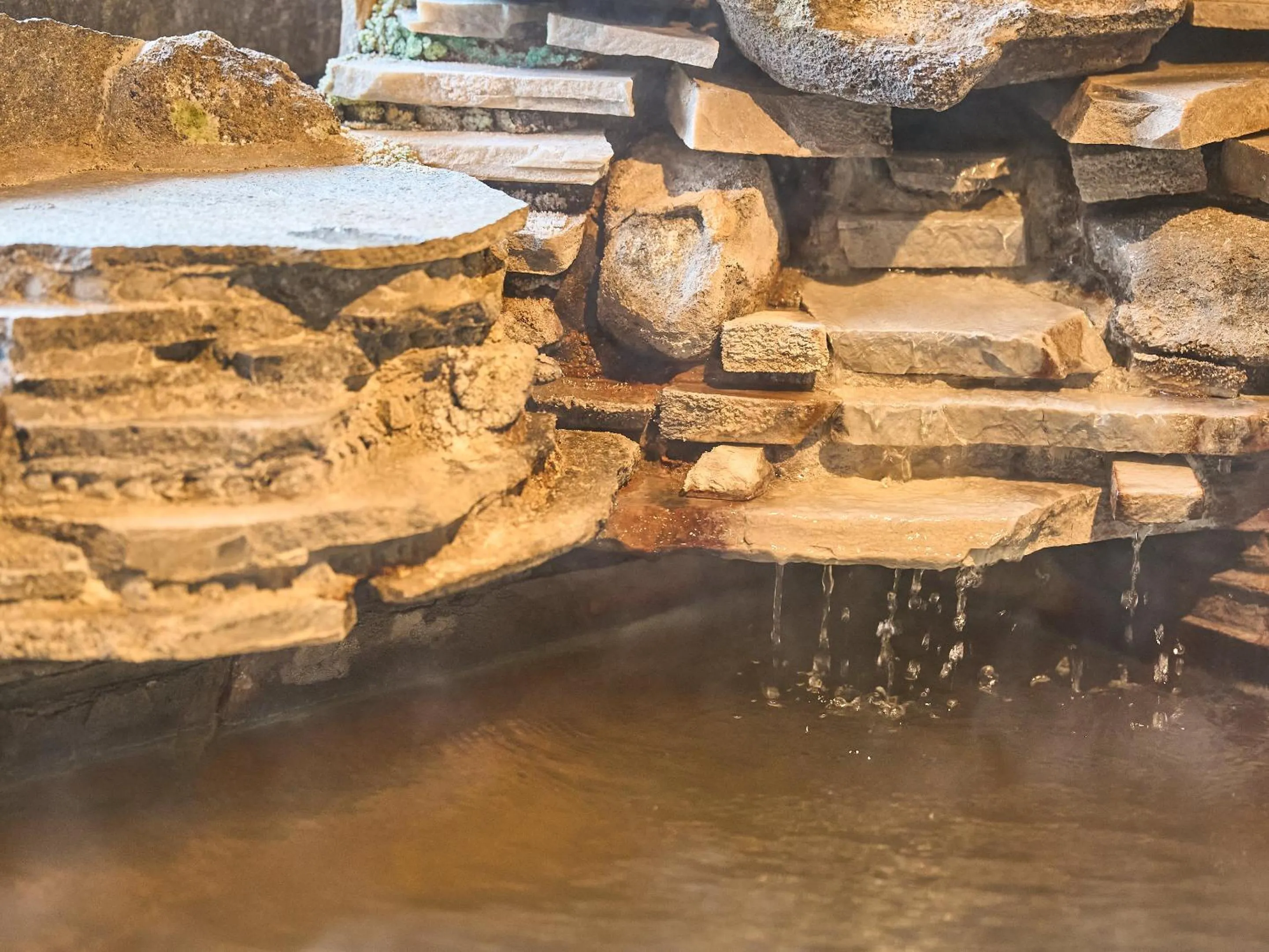 Family in Kirishima Momijidani Seiryuso