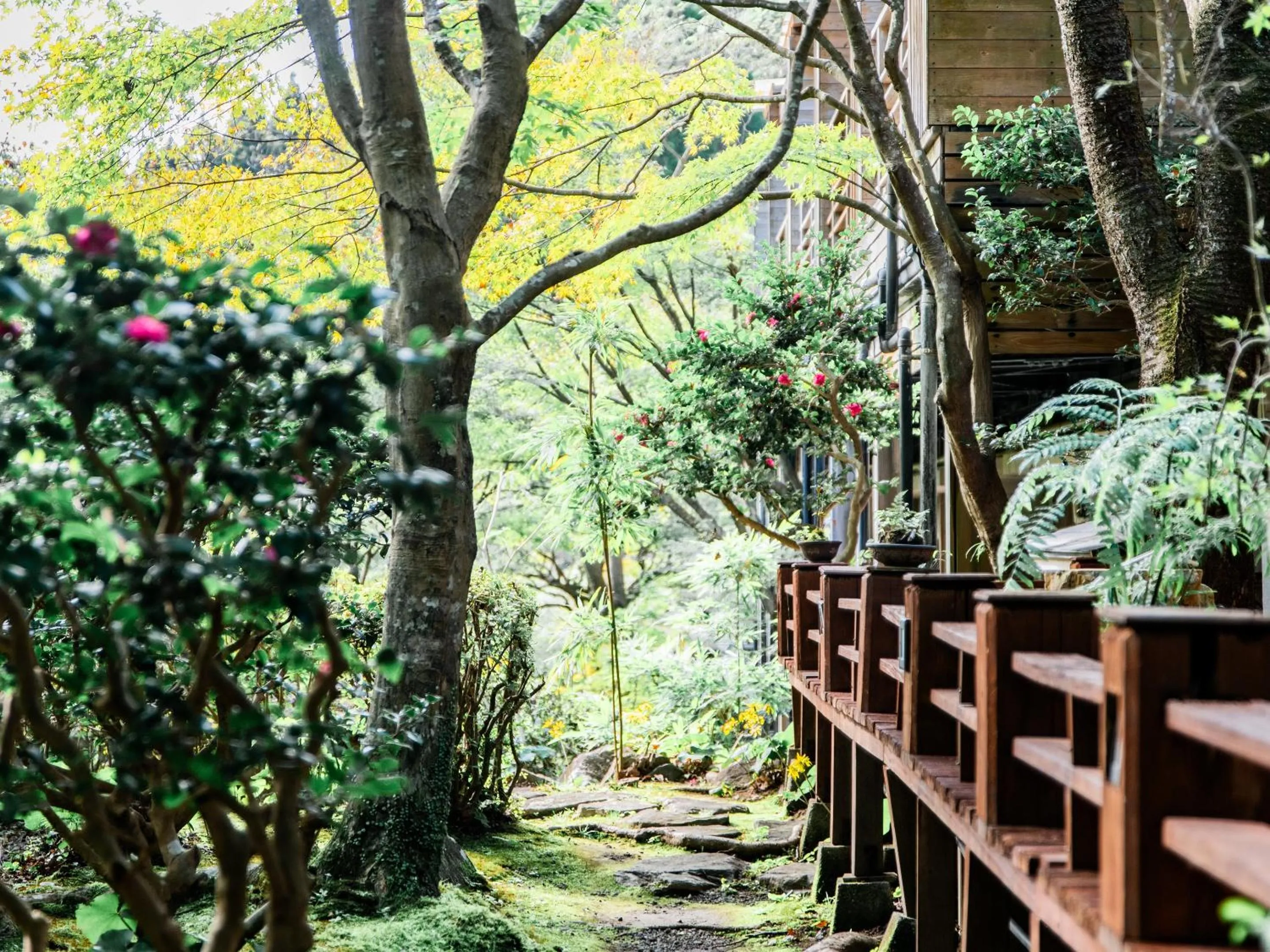 Off site in Kirishima Momijidani Seiryuso