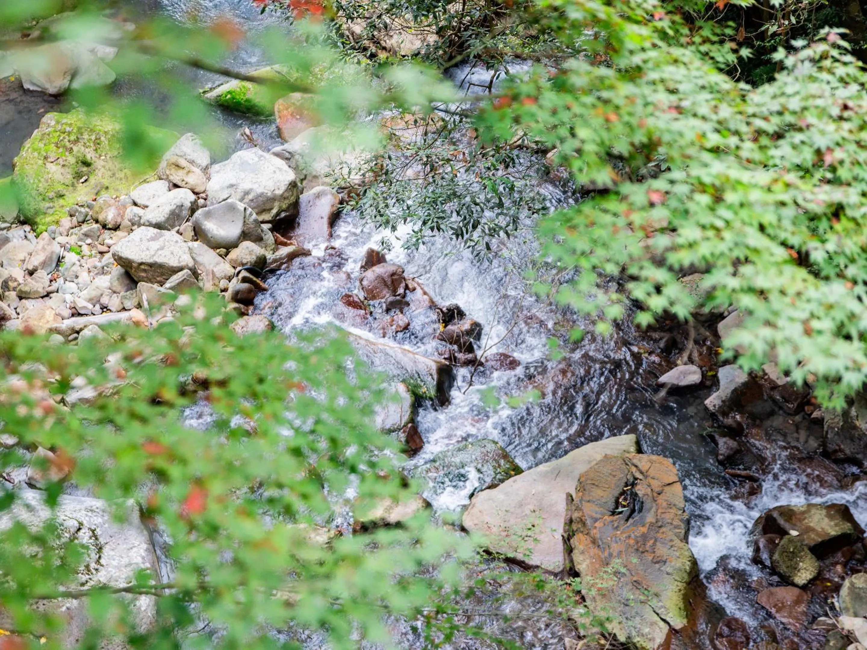 Off site in Kirishima Momijidani Seiryuso