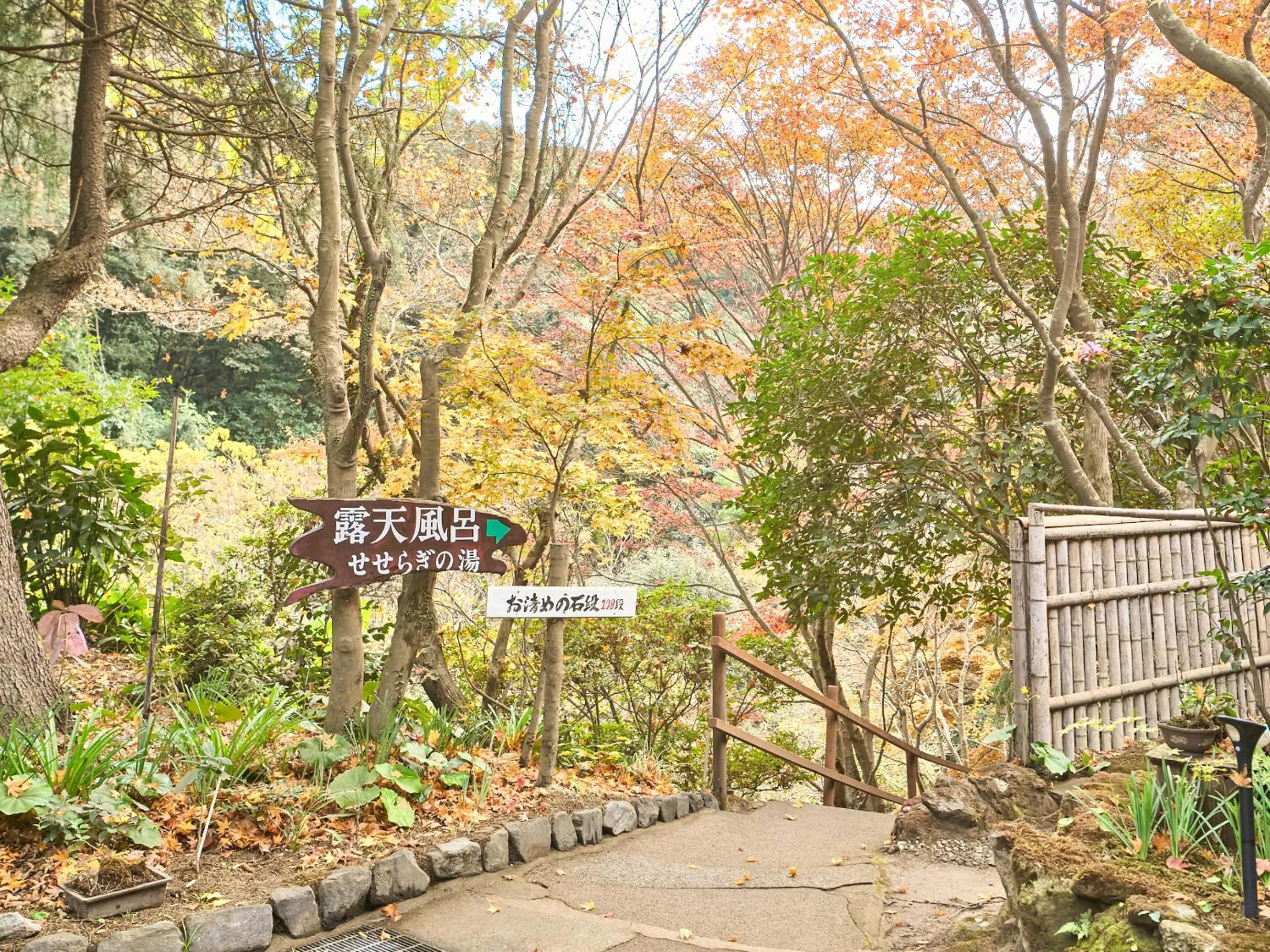 Open Air Bath in Kirishima Momijidani Seiryuso