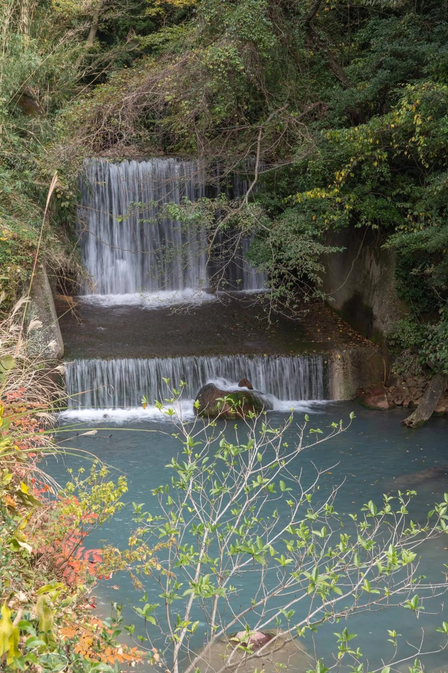 Day in Kirishima Momijidani Seiryuso