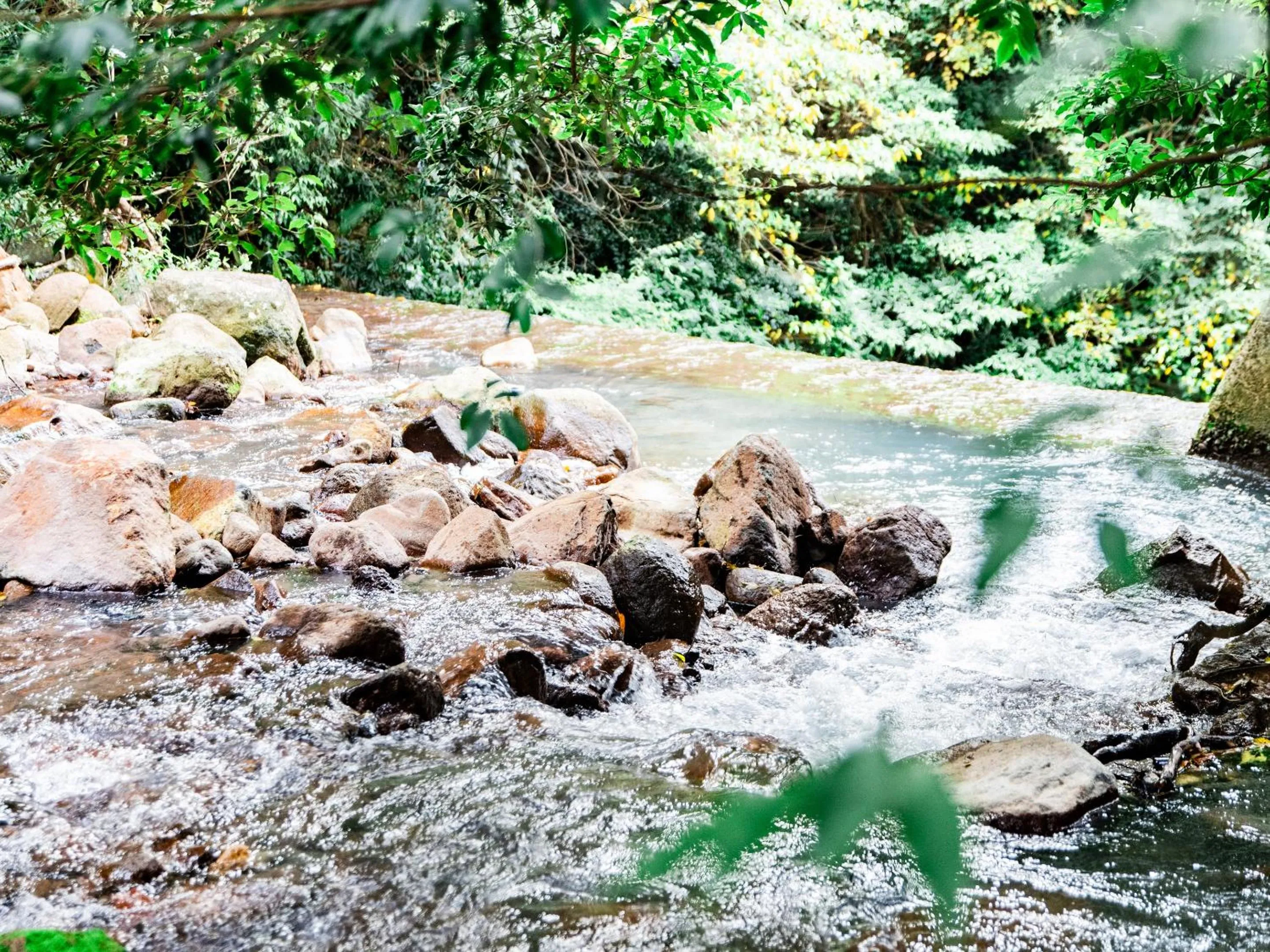Natural landscape in Kirishima Momijidani Seiryuso