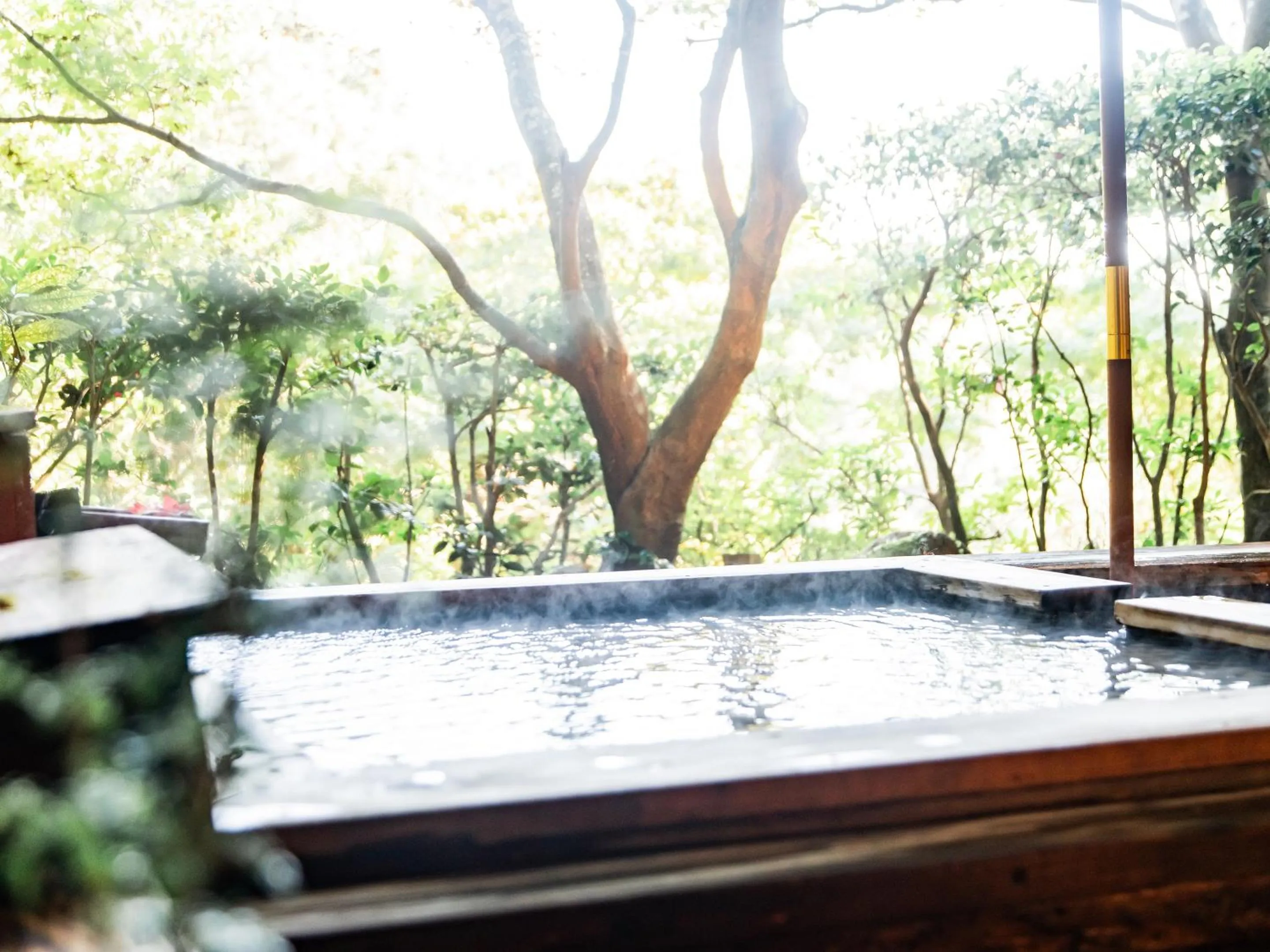 Open Air Bath in Kirishima Momijidani Seiryuso