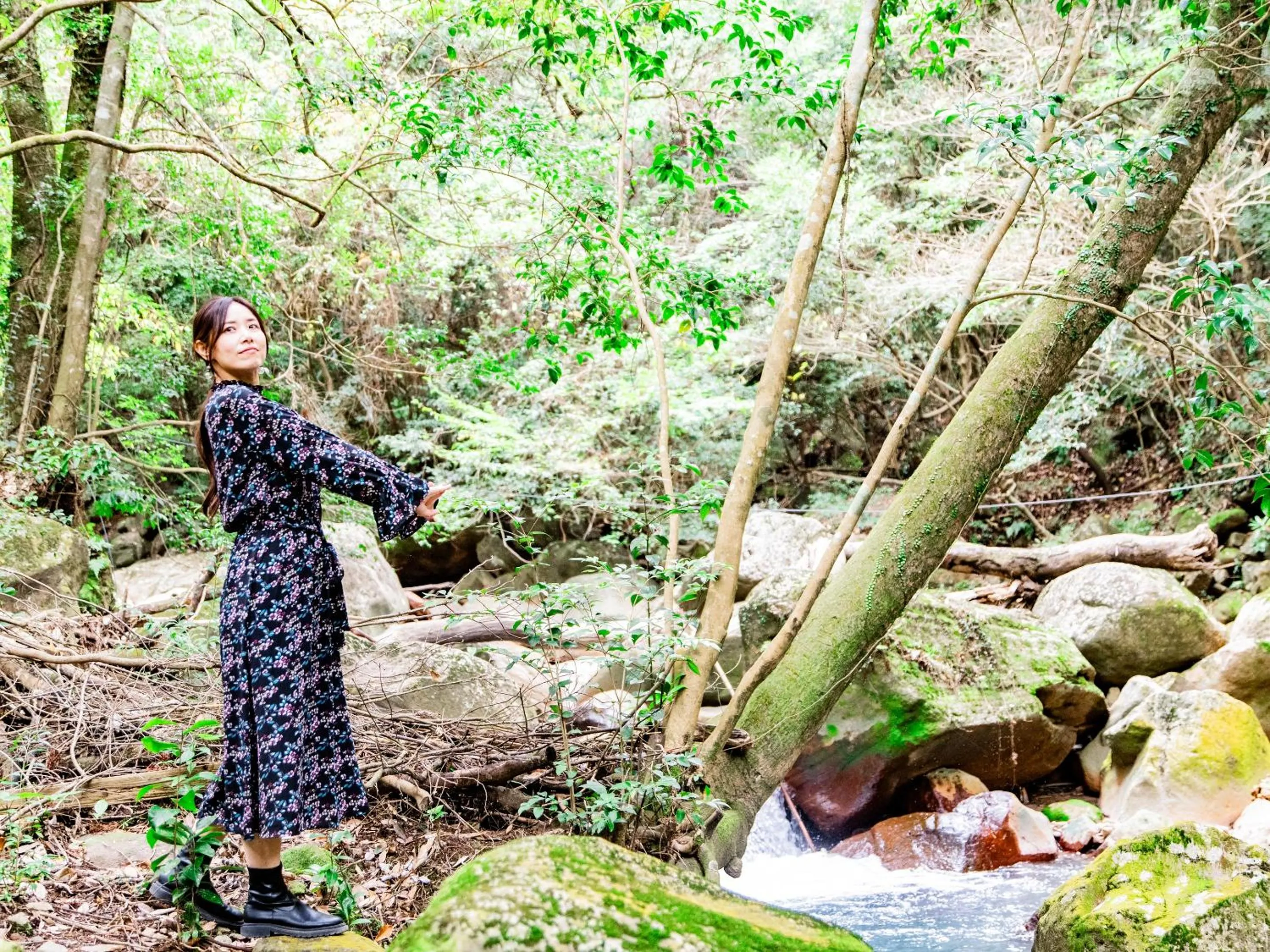 Natural landscape in Kirishima Momijidani Seiryuso