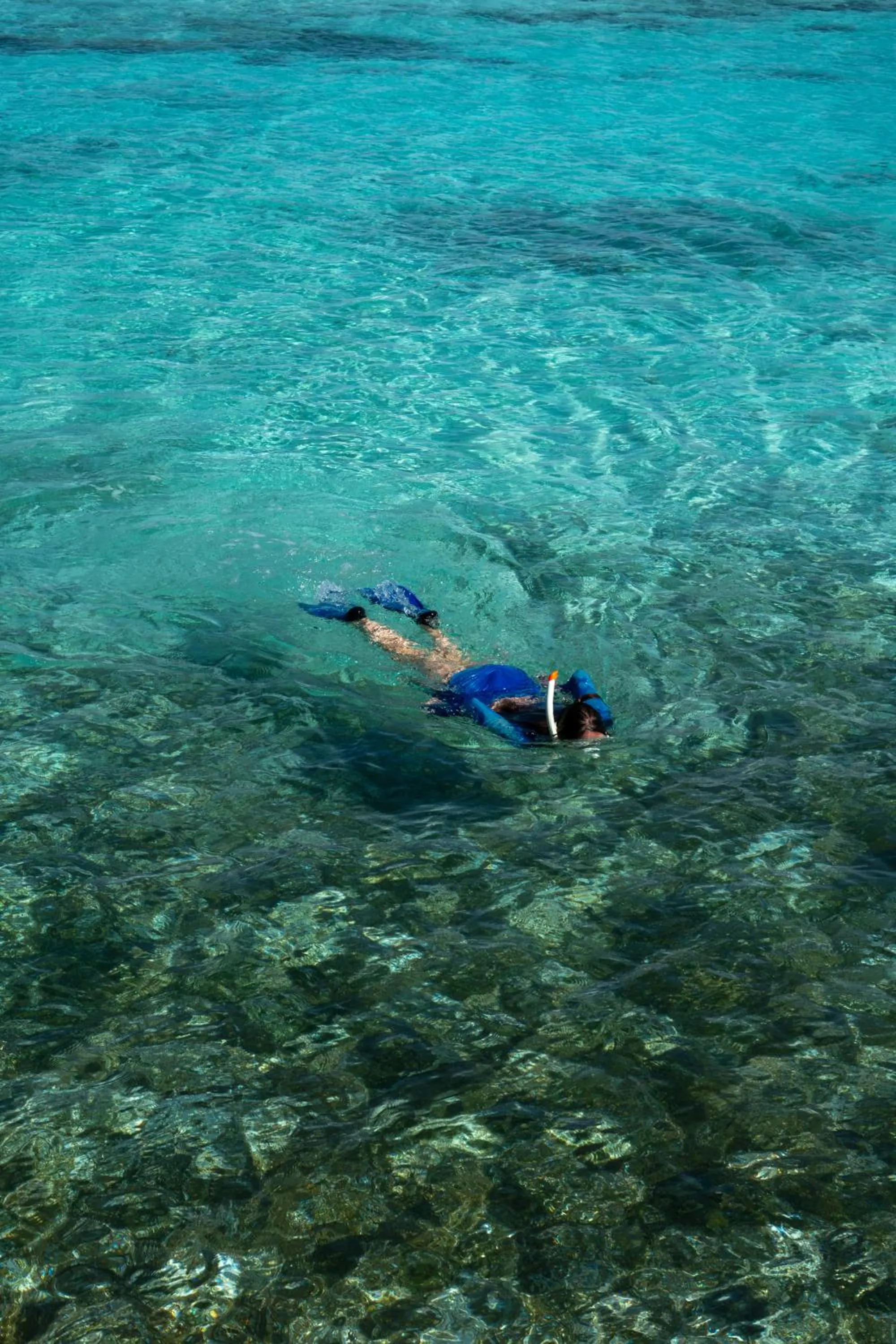 Snorkeling in Canareef Resort Maldives