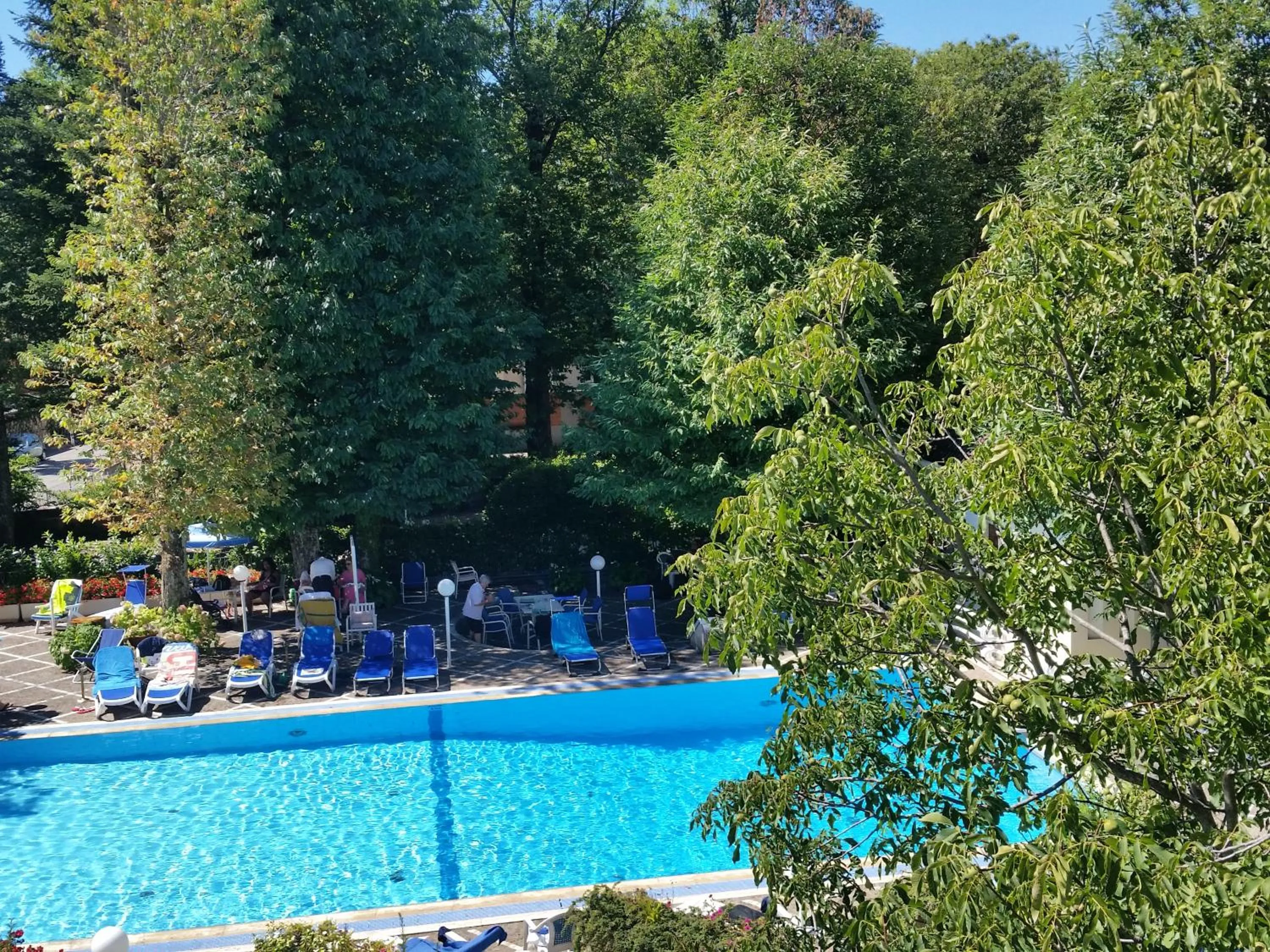 Garden in Mondial Park Hotel