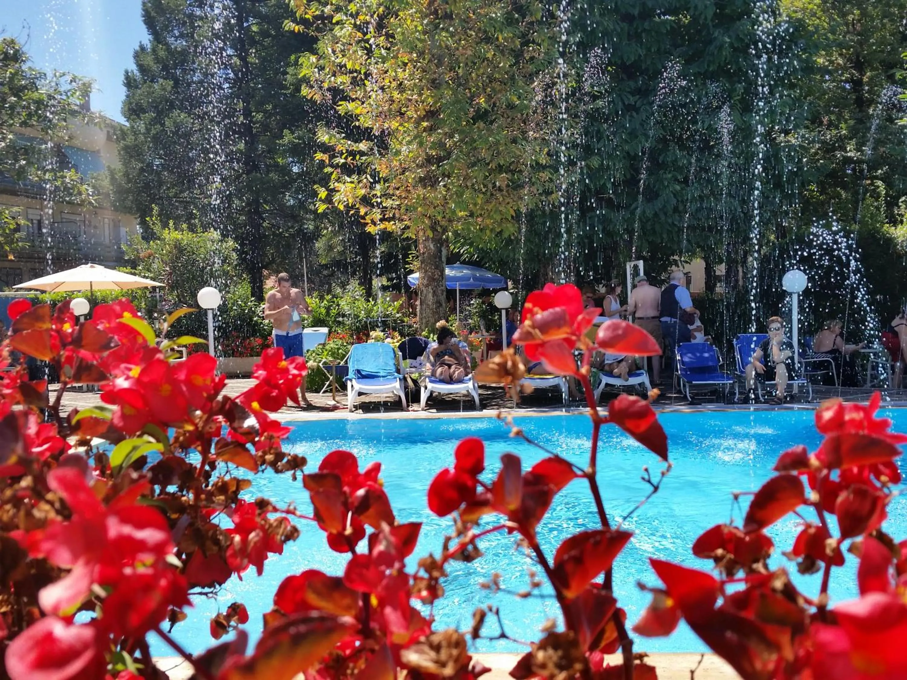 Garden in Mondial Park Hotel