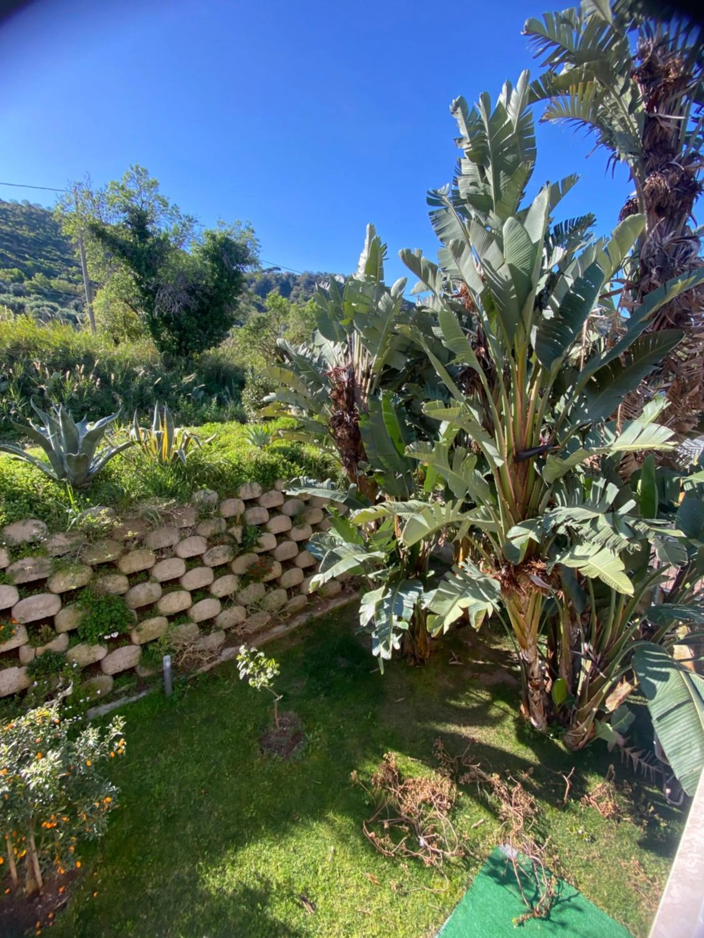 Garden in Residenza RoMa
