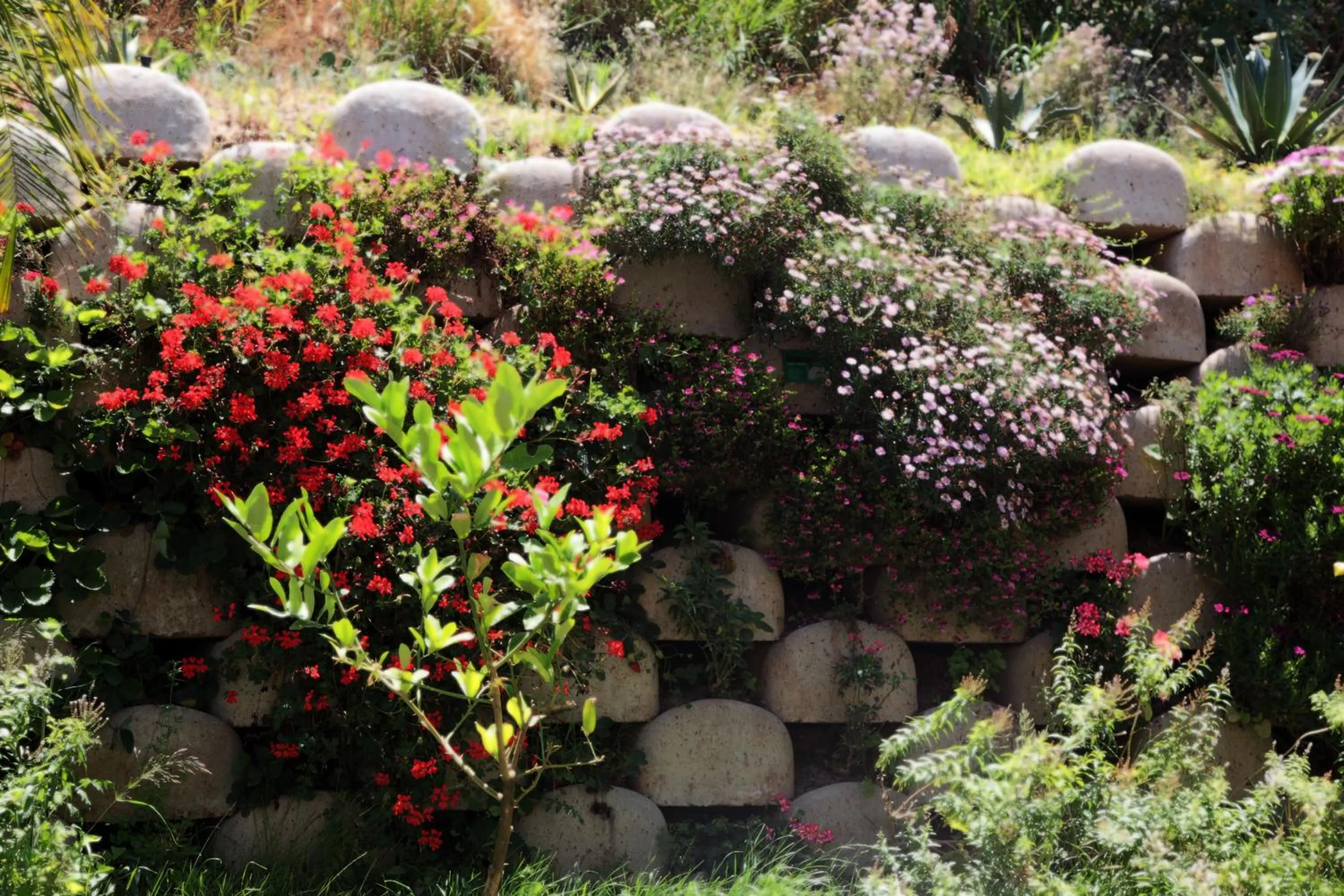 Garden in Residenza RoMa