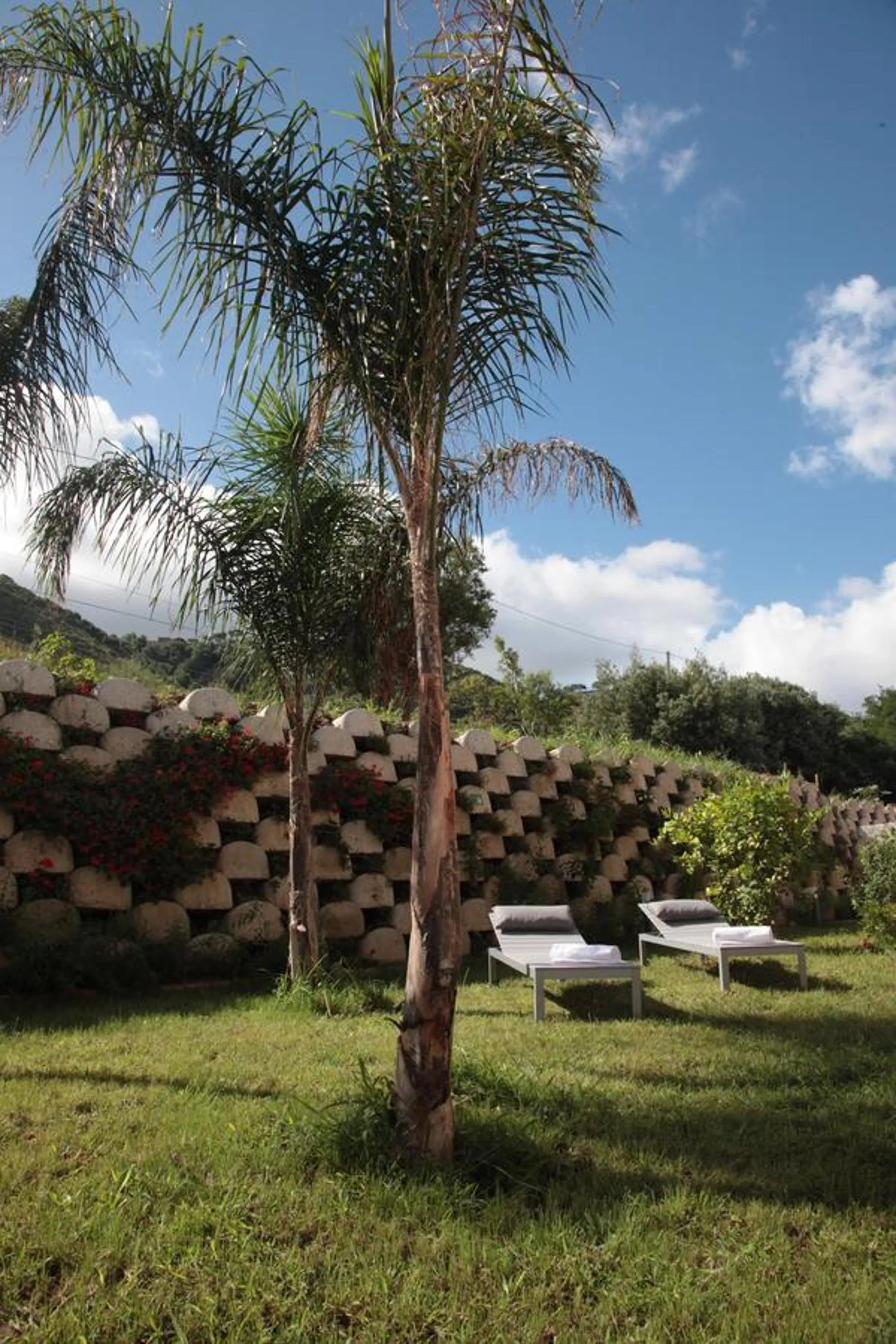 Garden view in Residenza RoMa