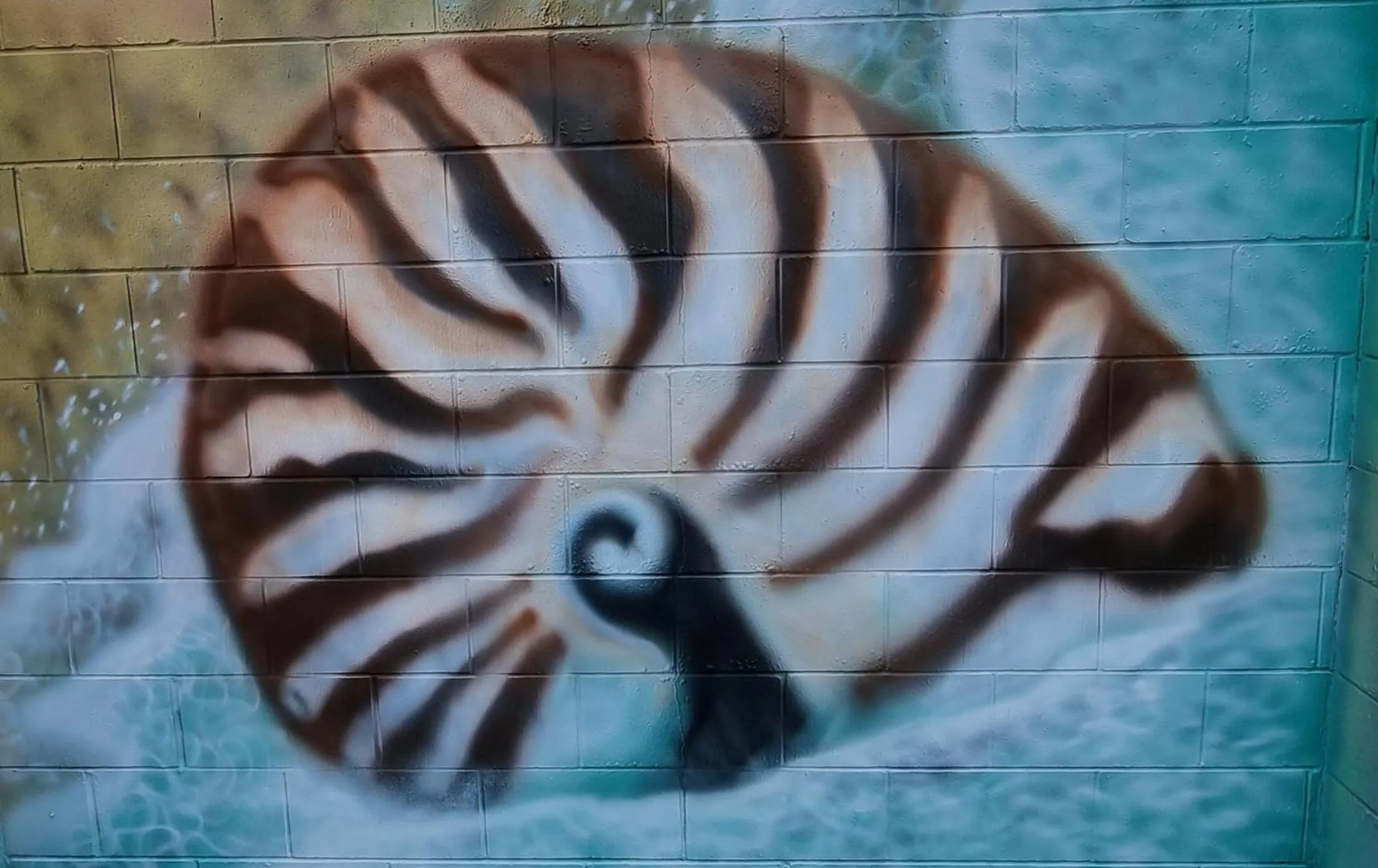 Pool view in Burdekin Motor Inn