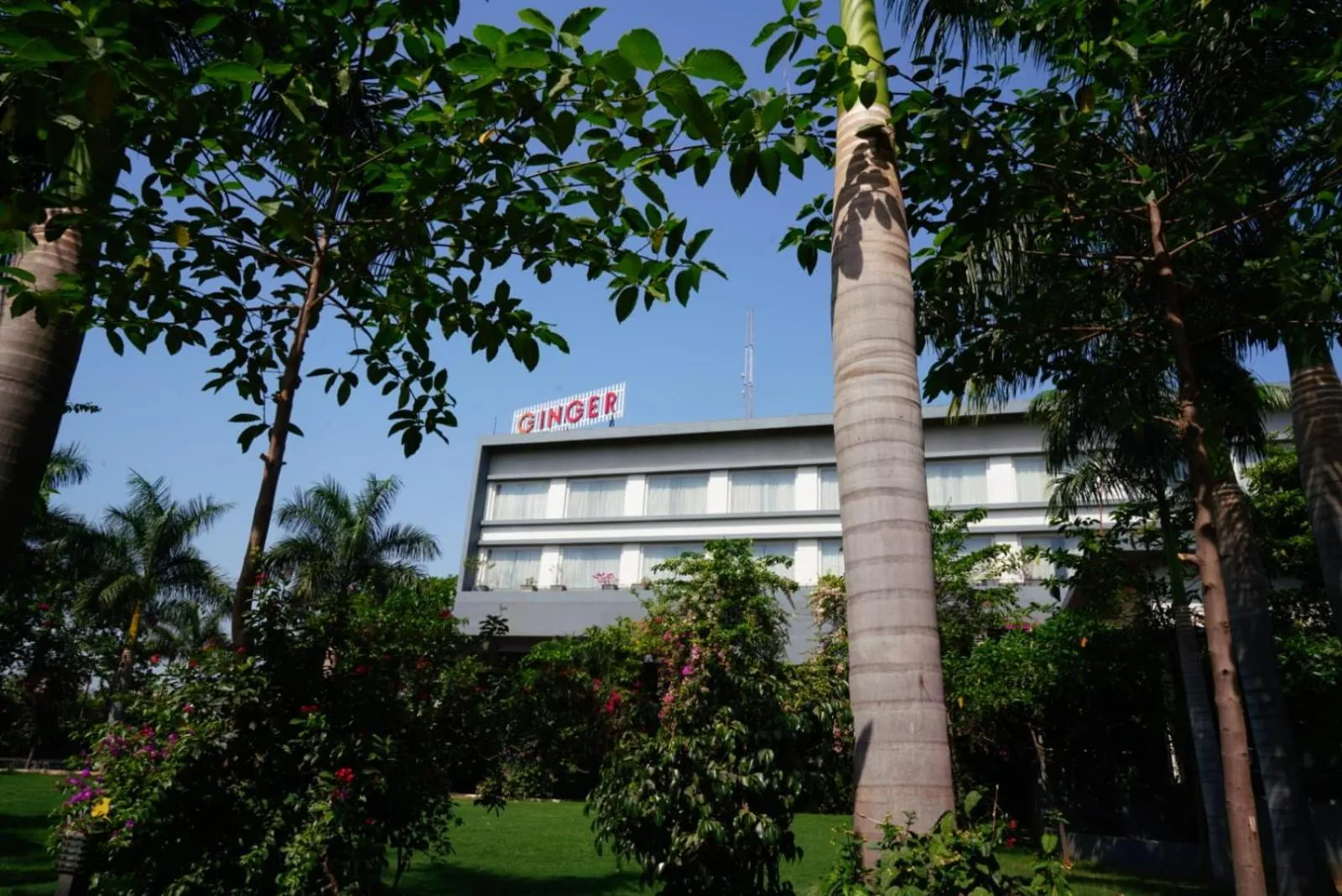 Property building in Ginger Gondia, Balaghat Road