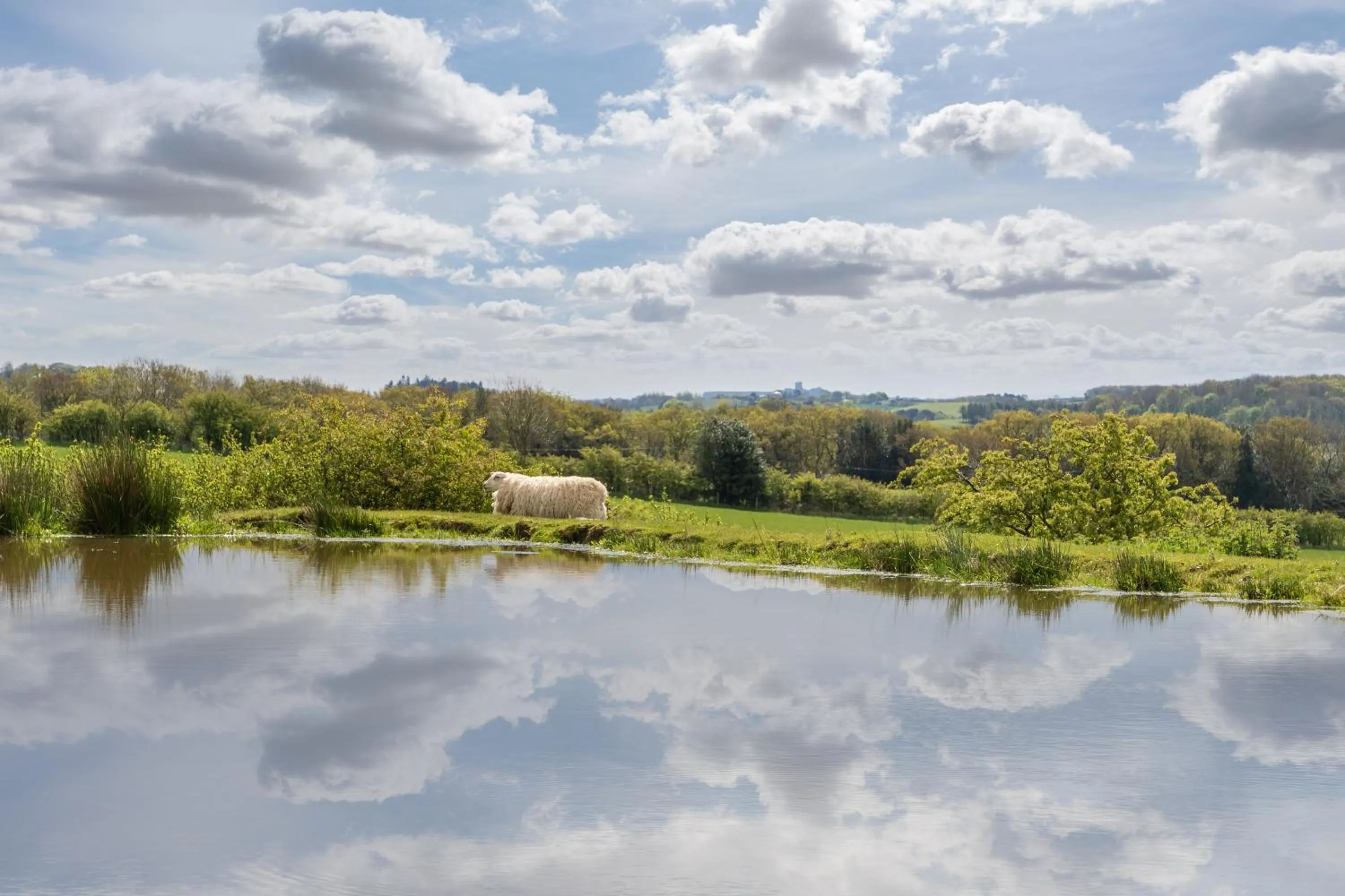 The Grainary Cottages