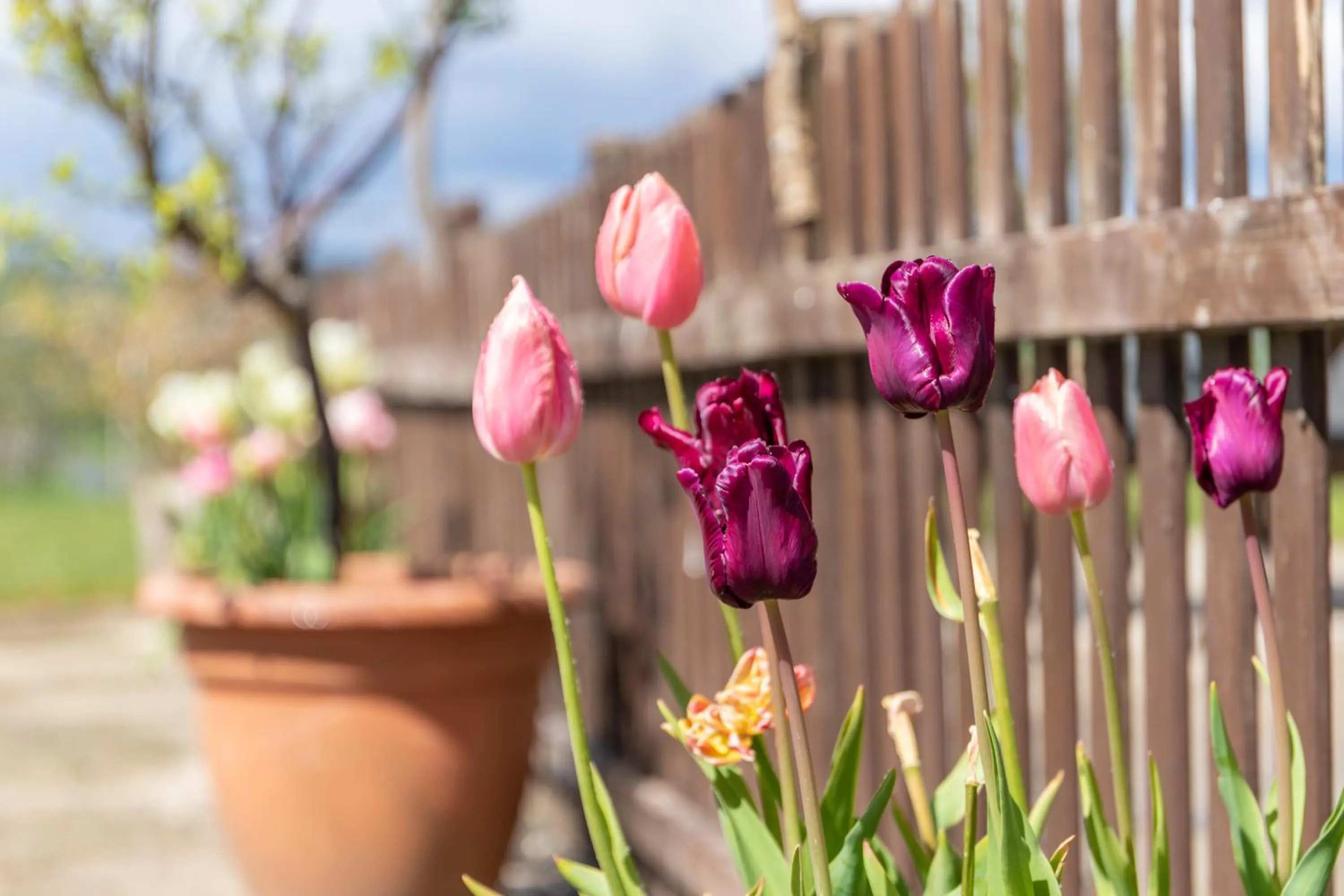 The Grainary Cottages