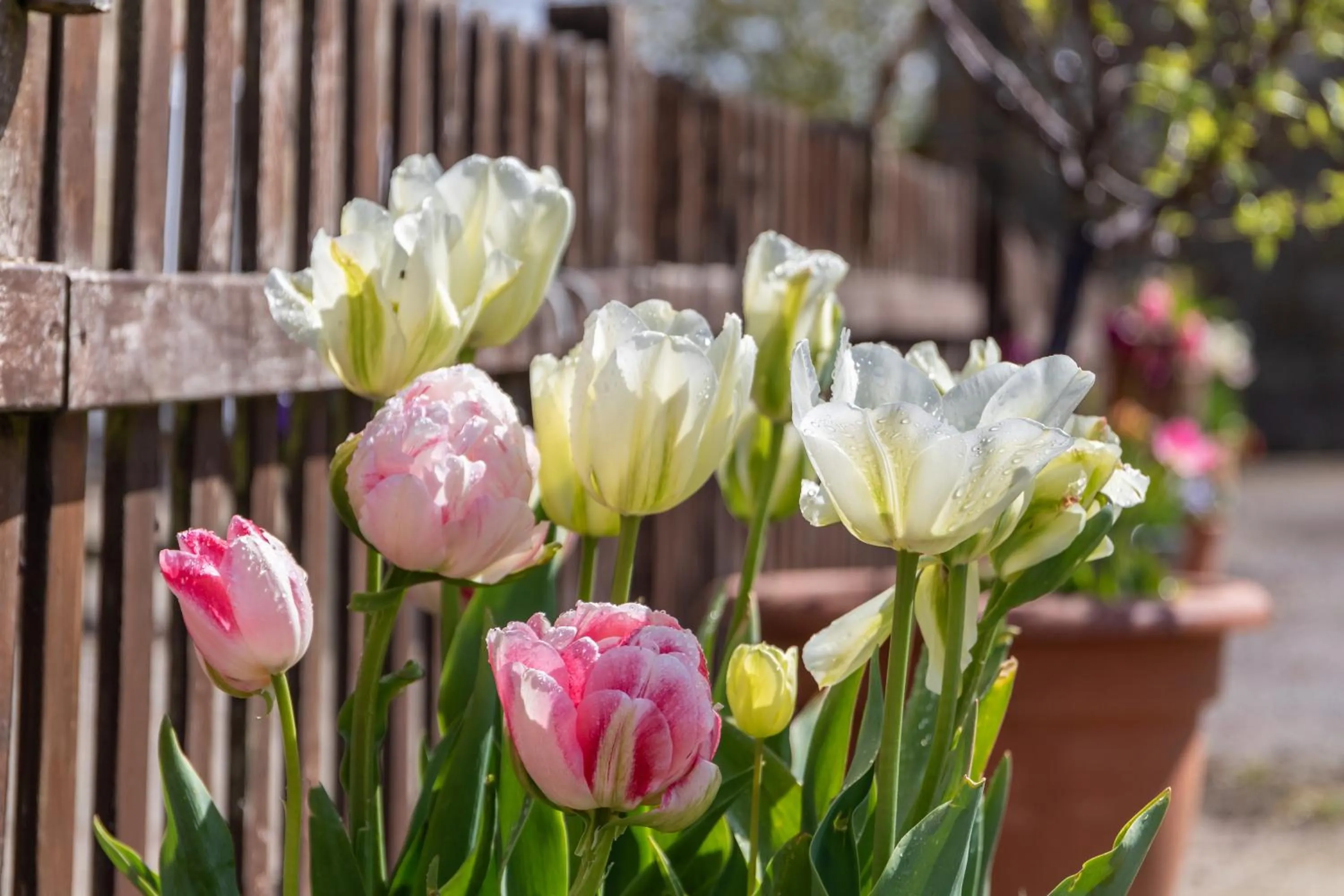 The Grainary Cottages