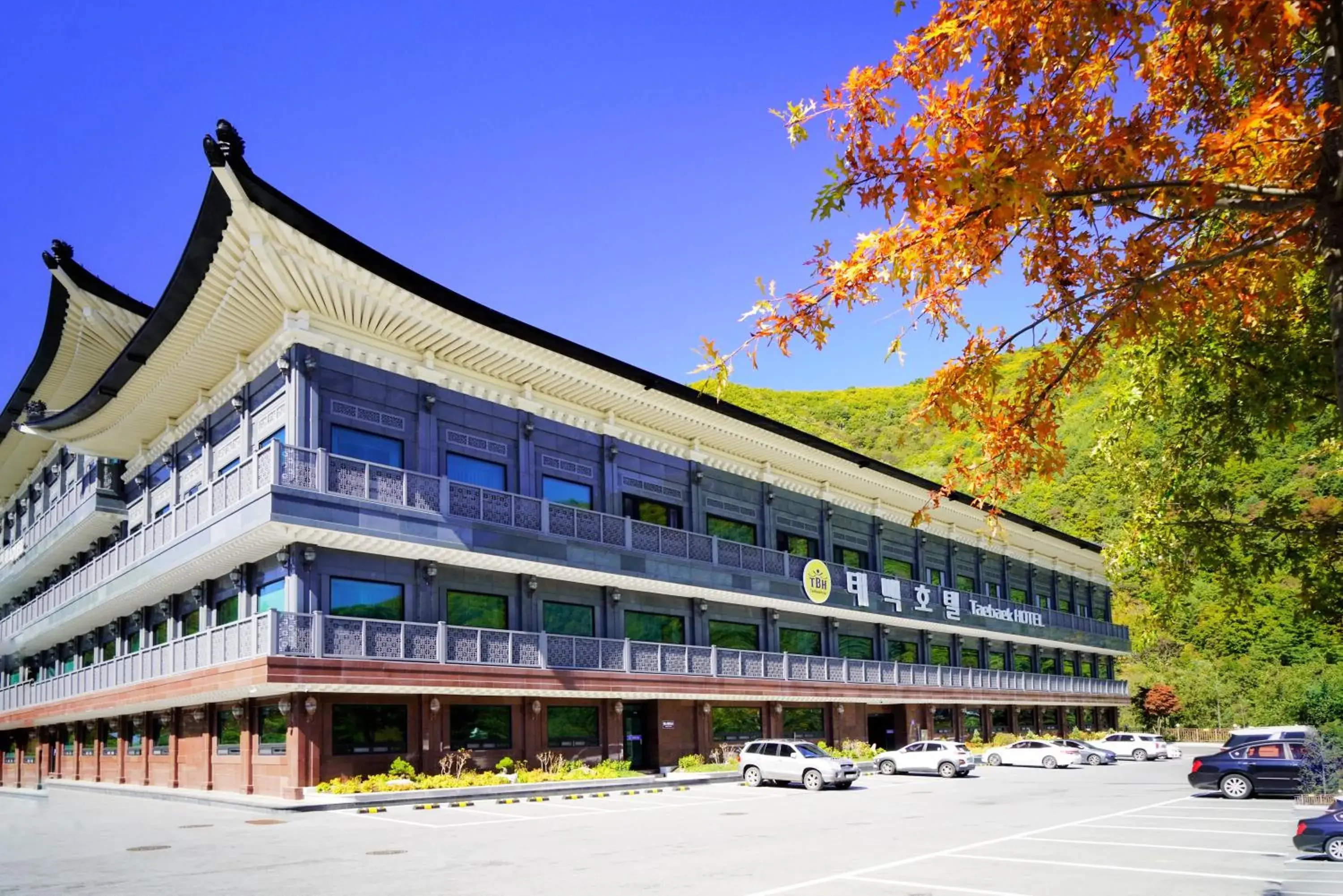 Taebaek Hotel Taebaek Hotel