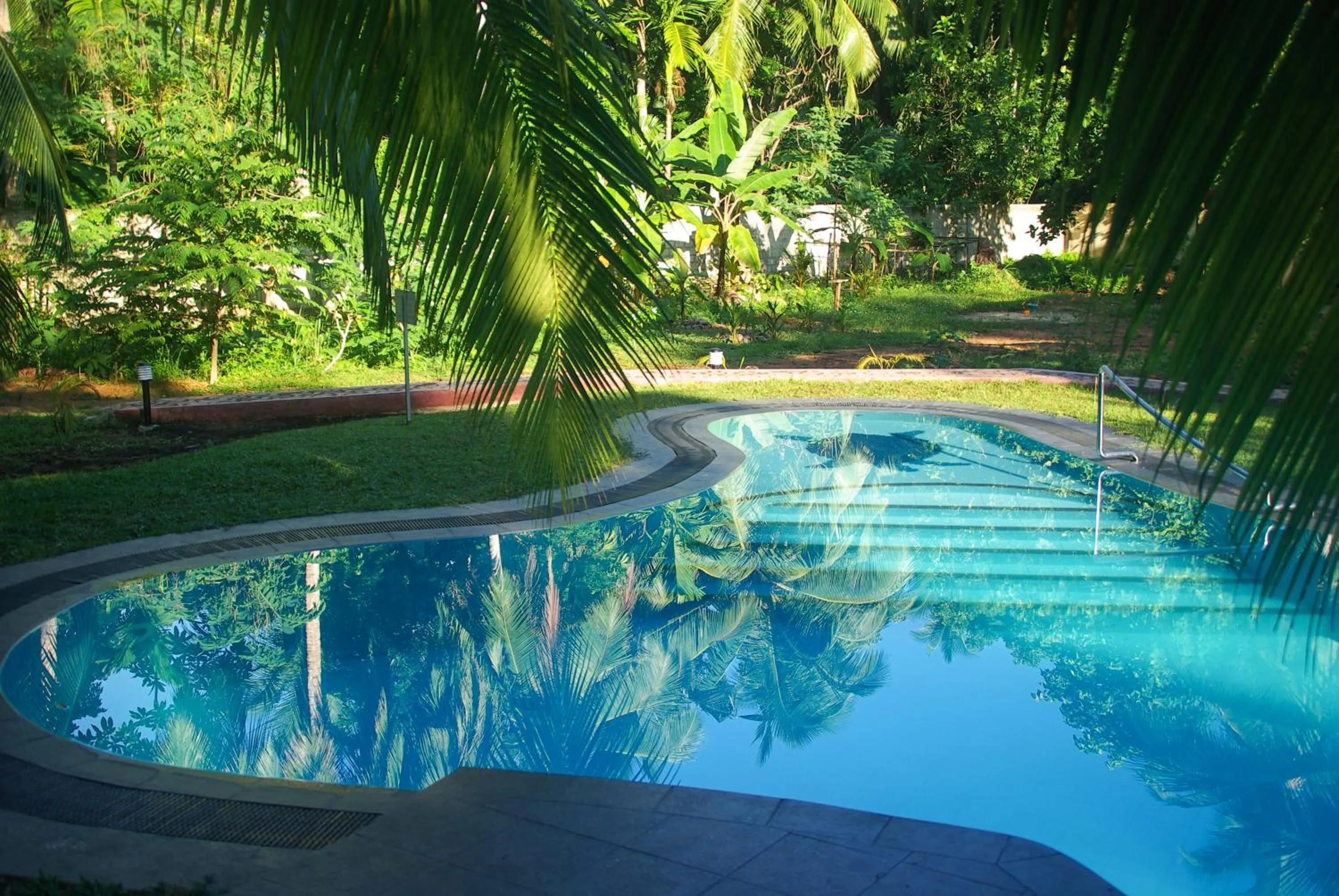 Swimming pool in King Coconut Lodge