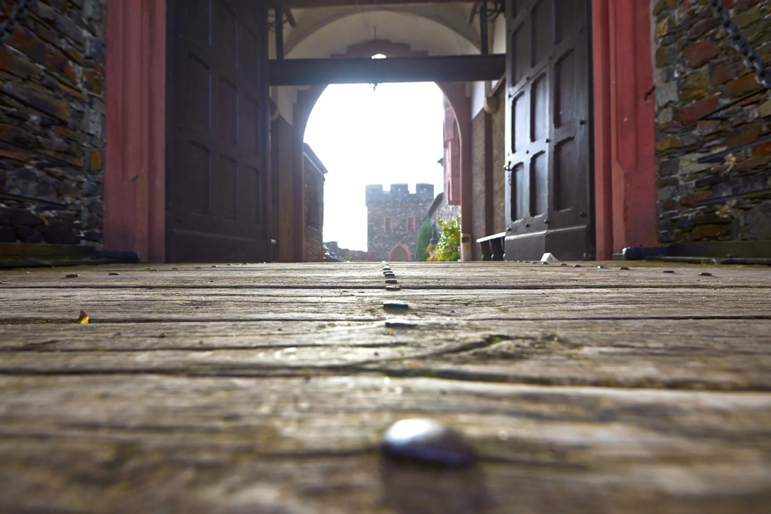 Day in Burg Reichenstein