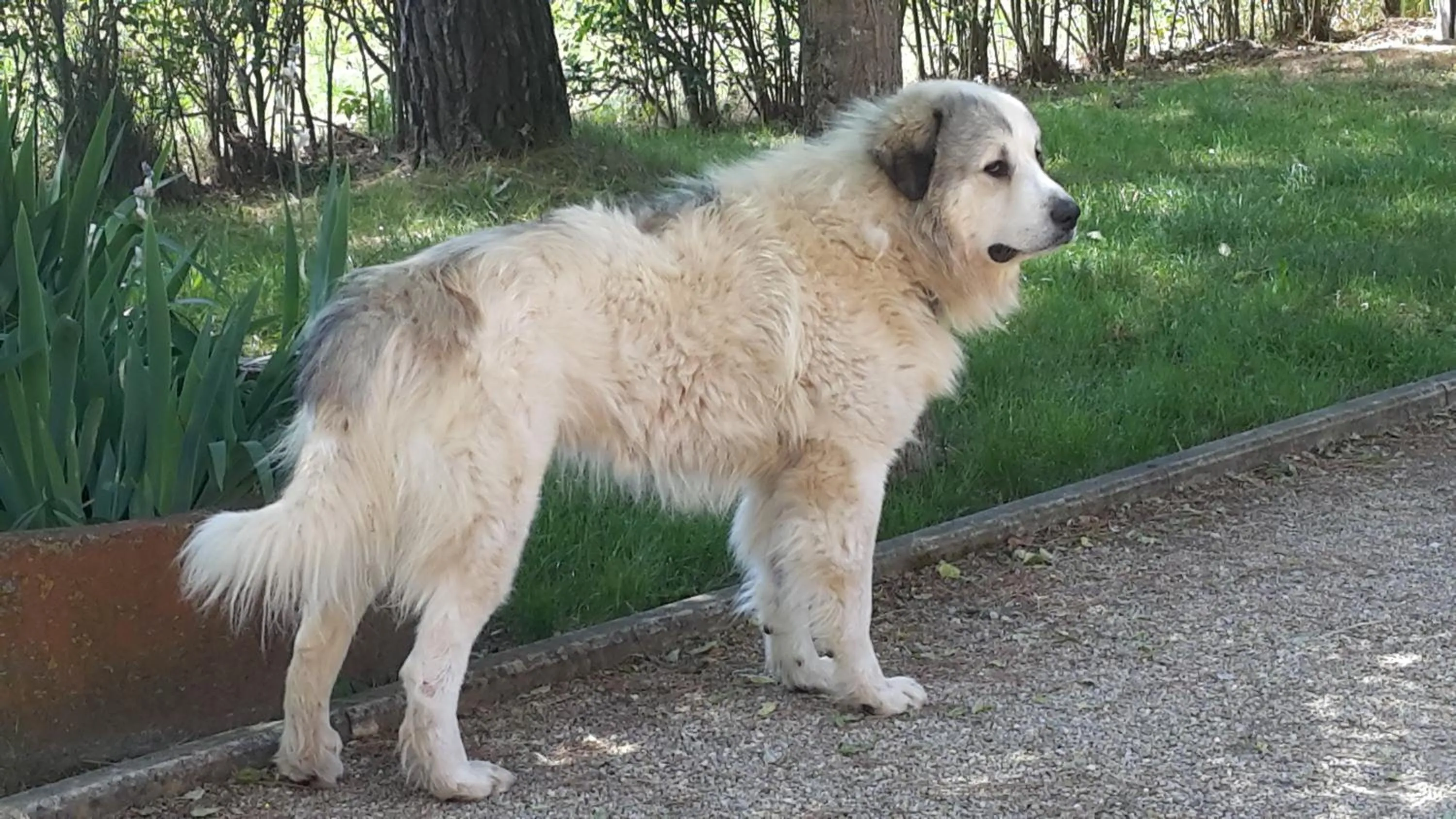 On site in Artenatura BeB