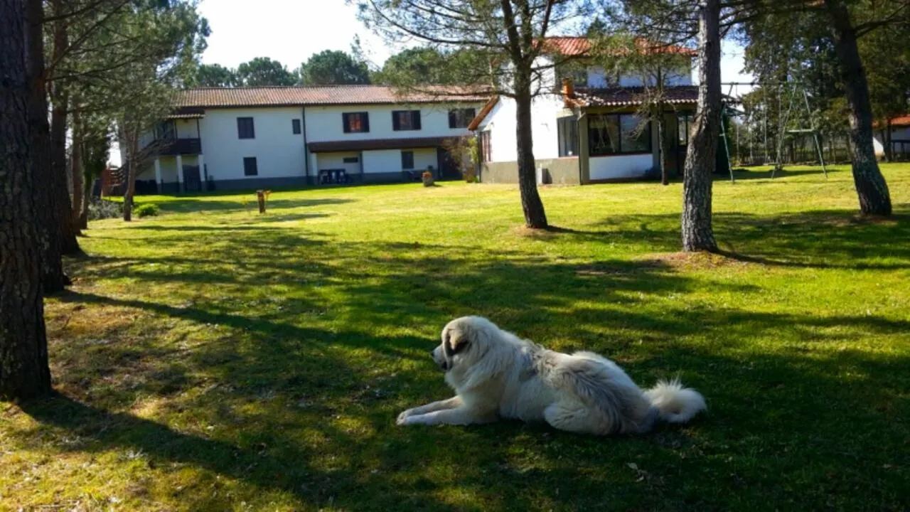 Property building in Artenatura BeB