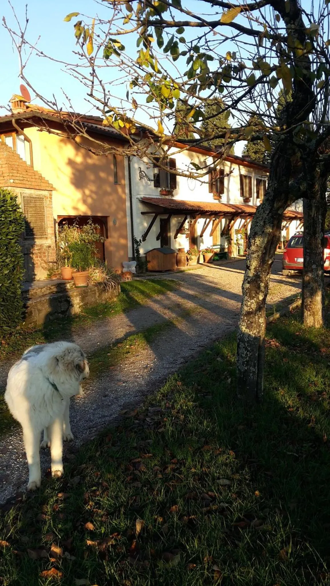 Property building in Artenatura BeB